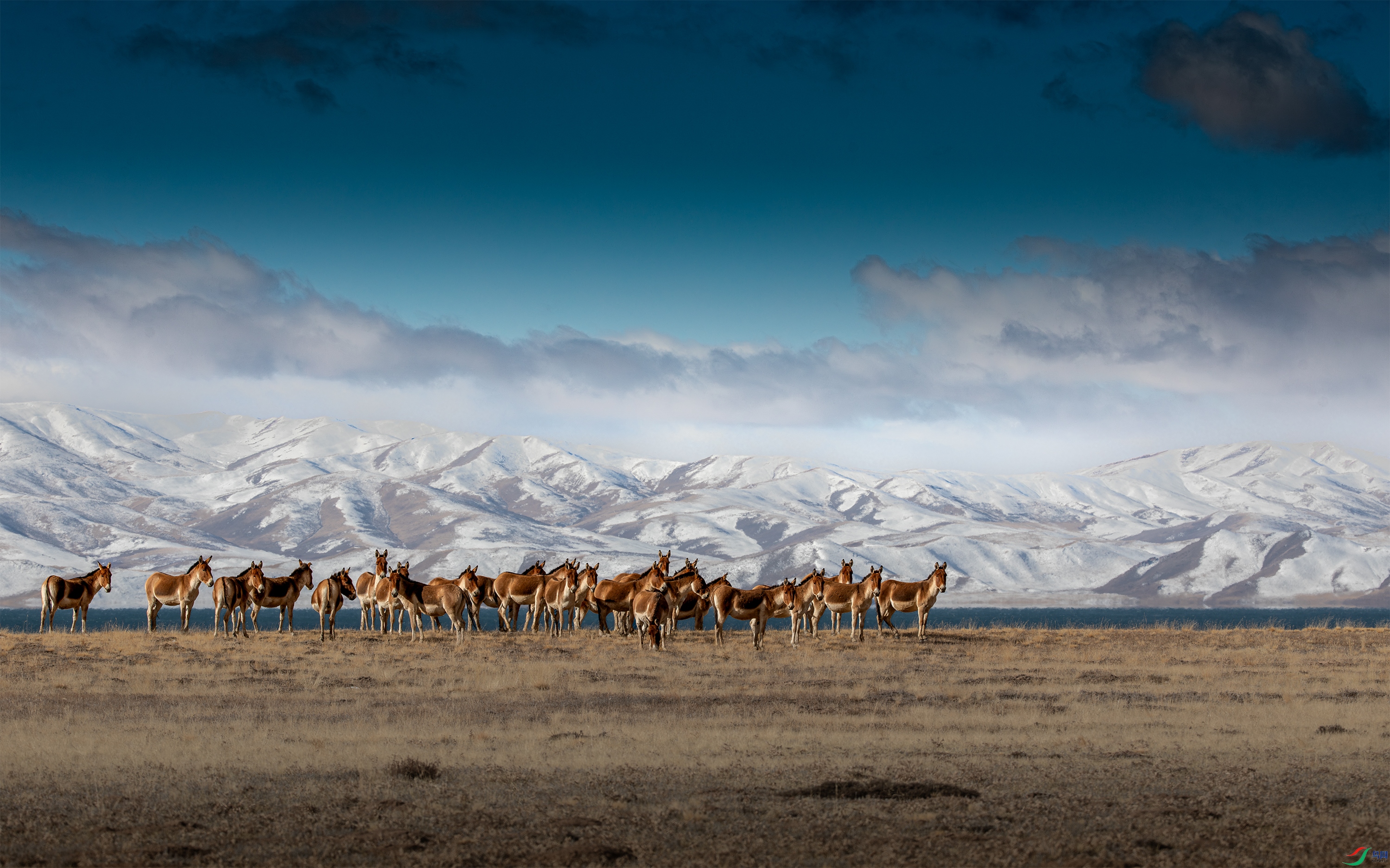 3S5A8697 ����.jpg