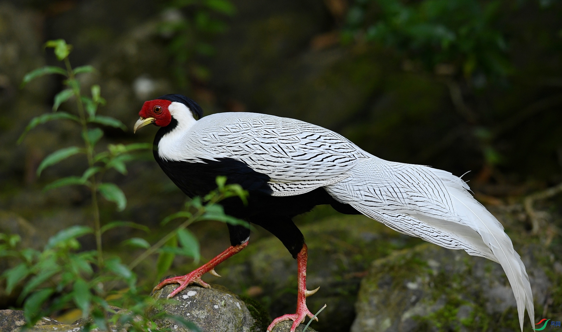 DSC_3487.jpg