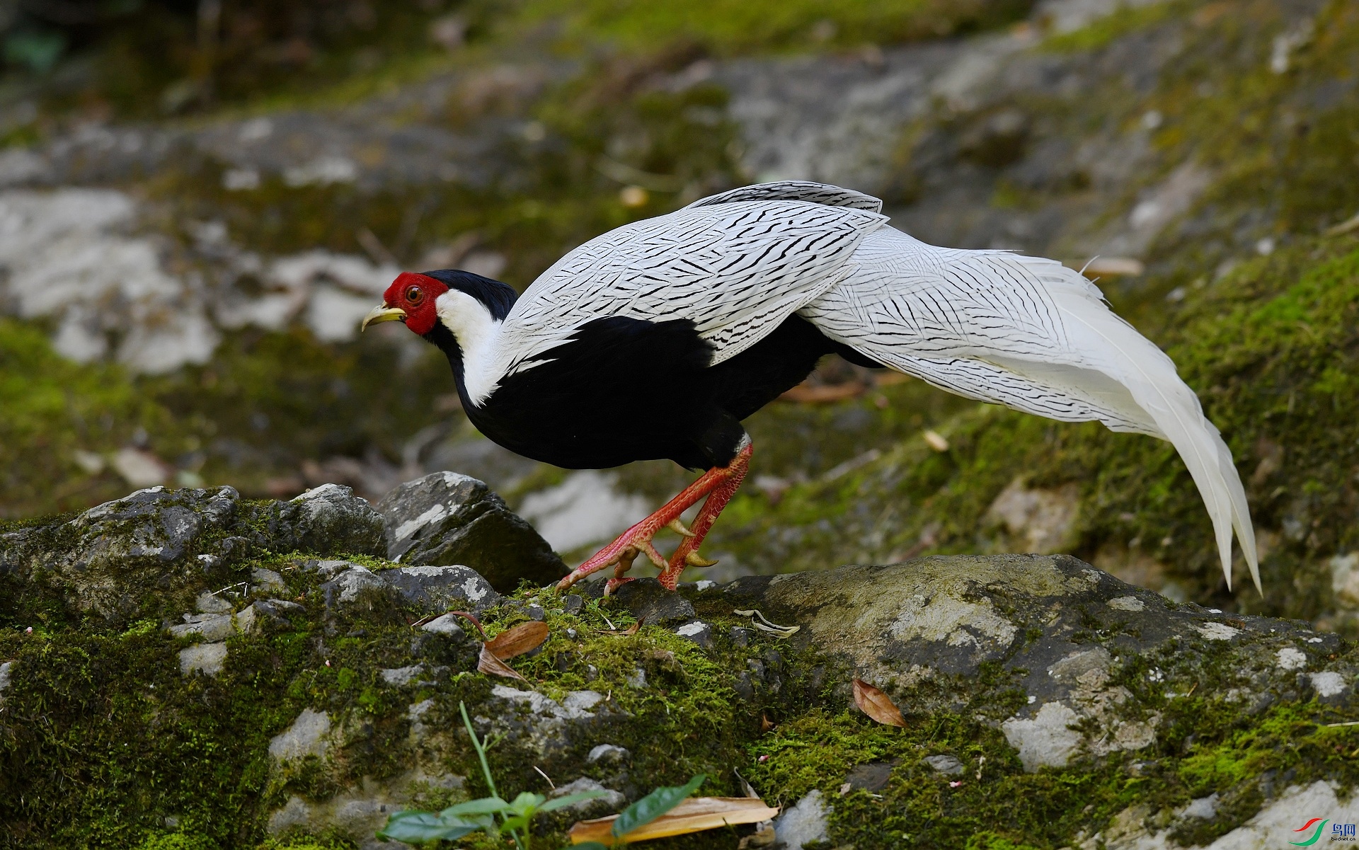 DSC_3494.jpg