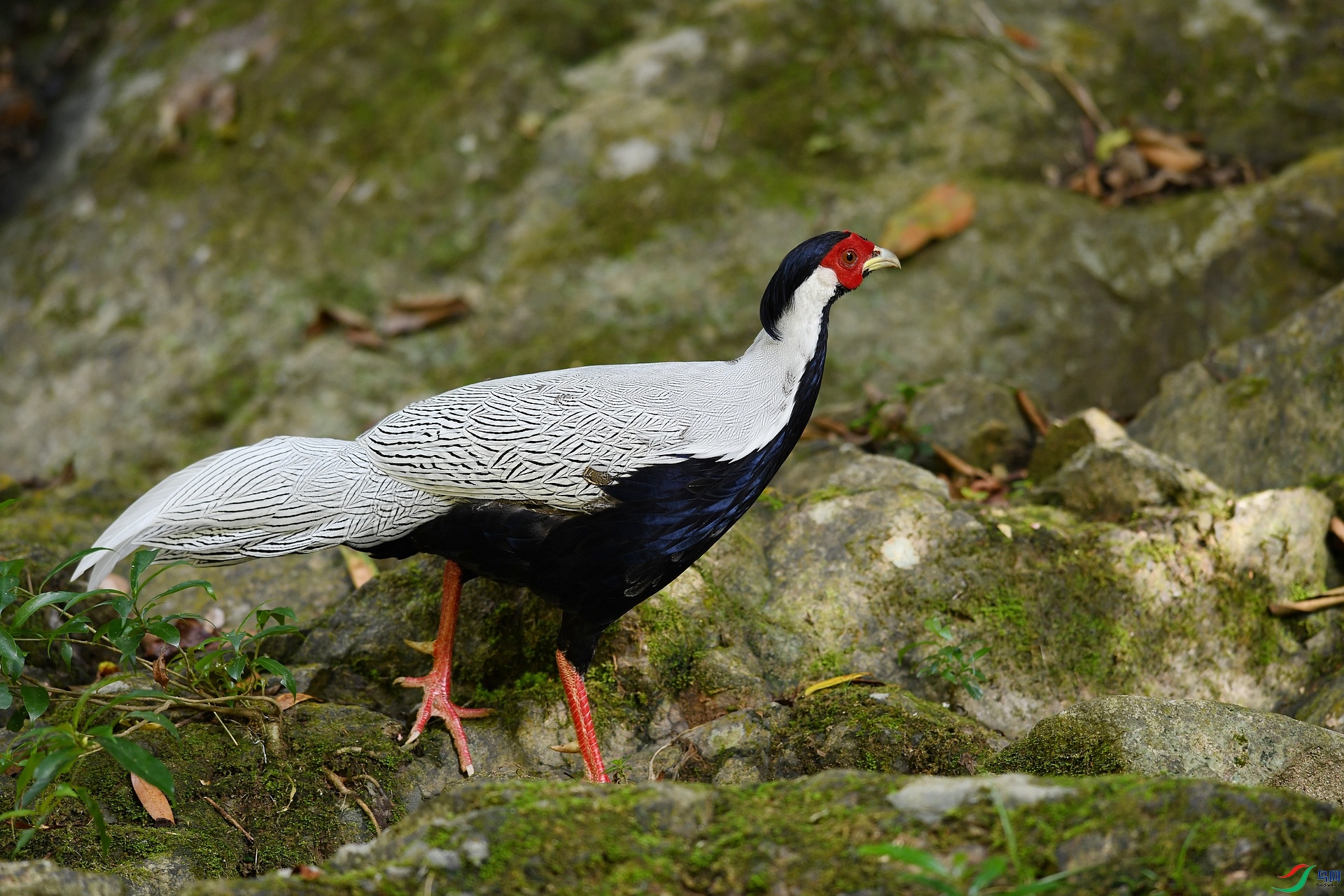 DSC_3182.jpg