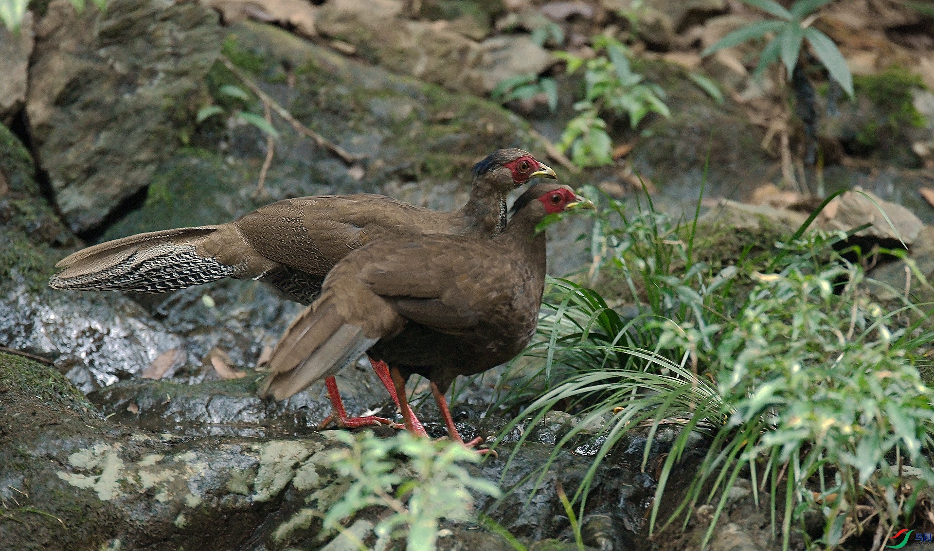 DSC_9874.jpg