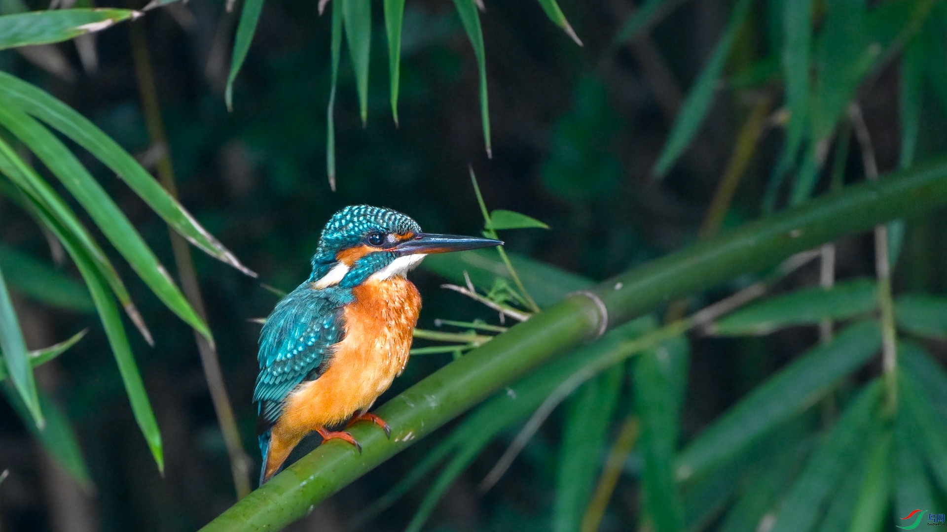DSC_3810.jpg