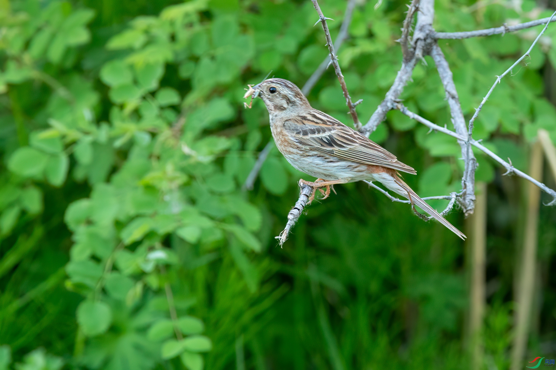 B86I1404 _����.jpg