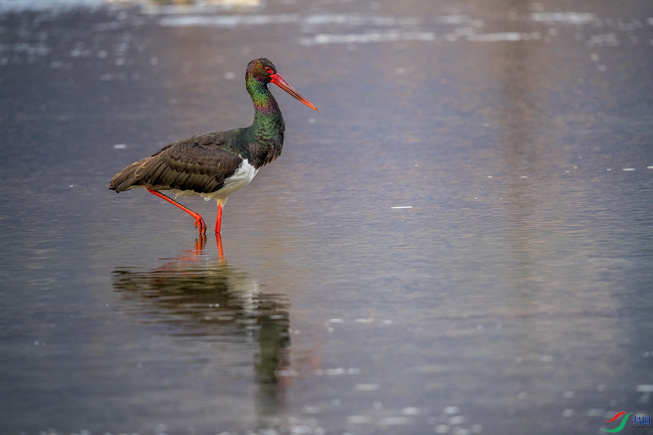DSC_6444.jpg