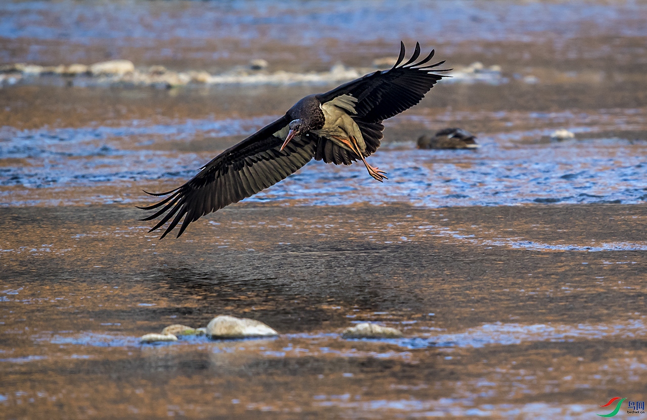 DSC_6653.jpg