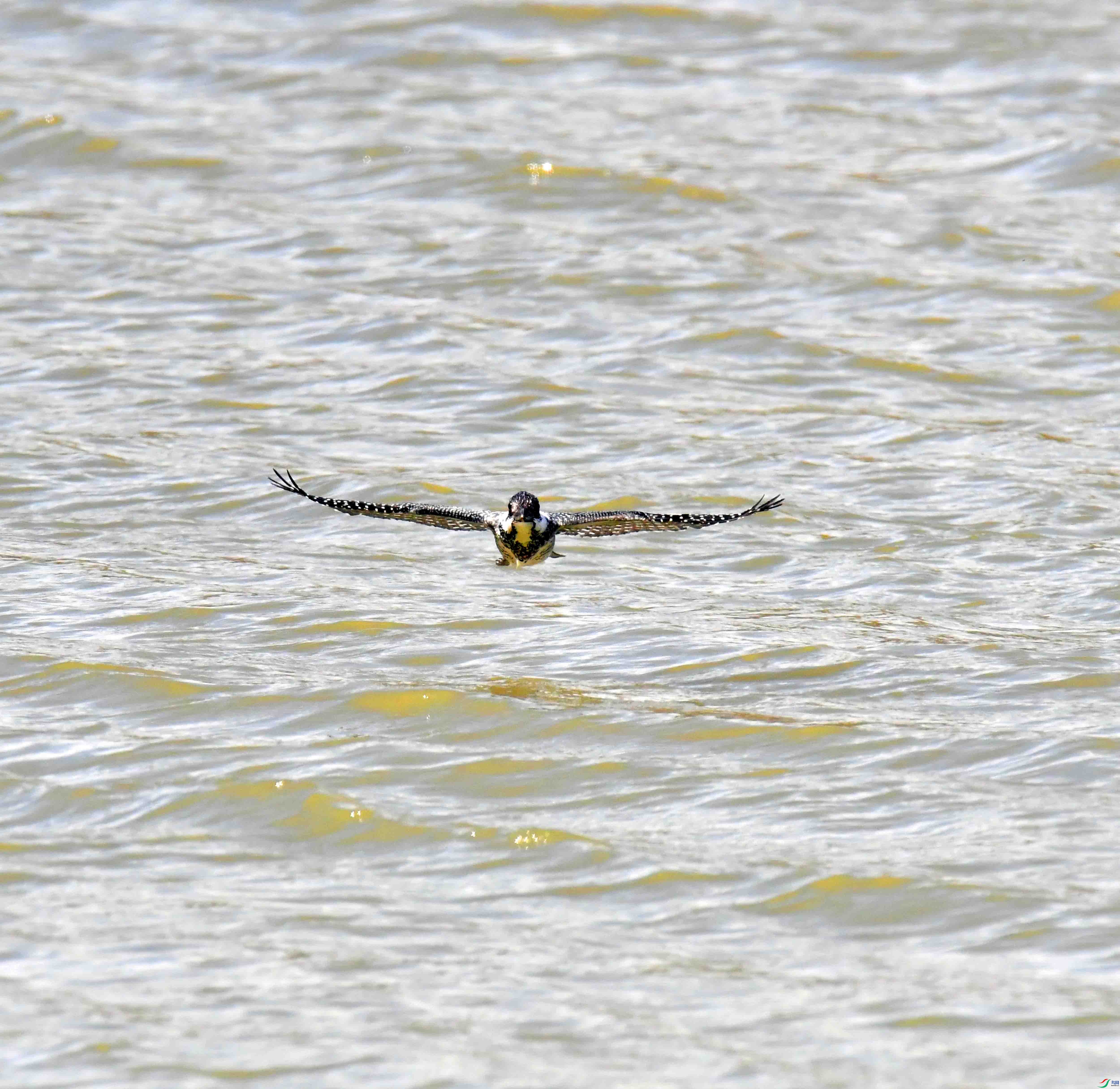 DSC_2601.JPG