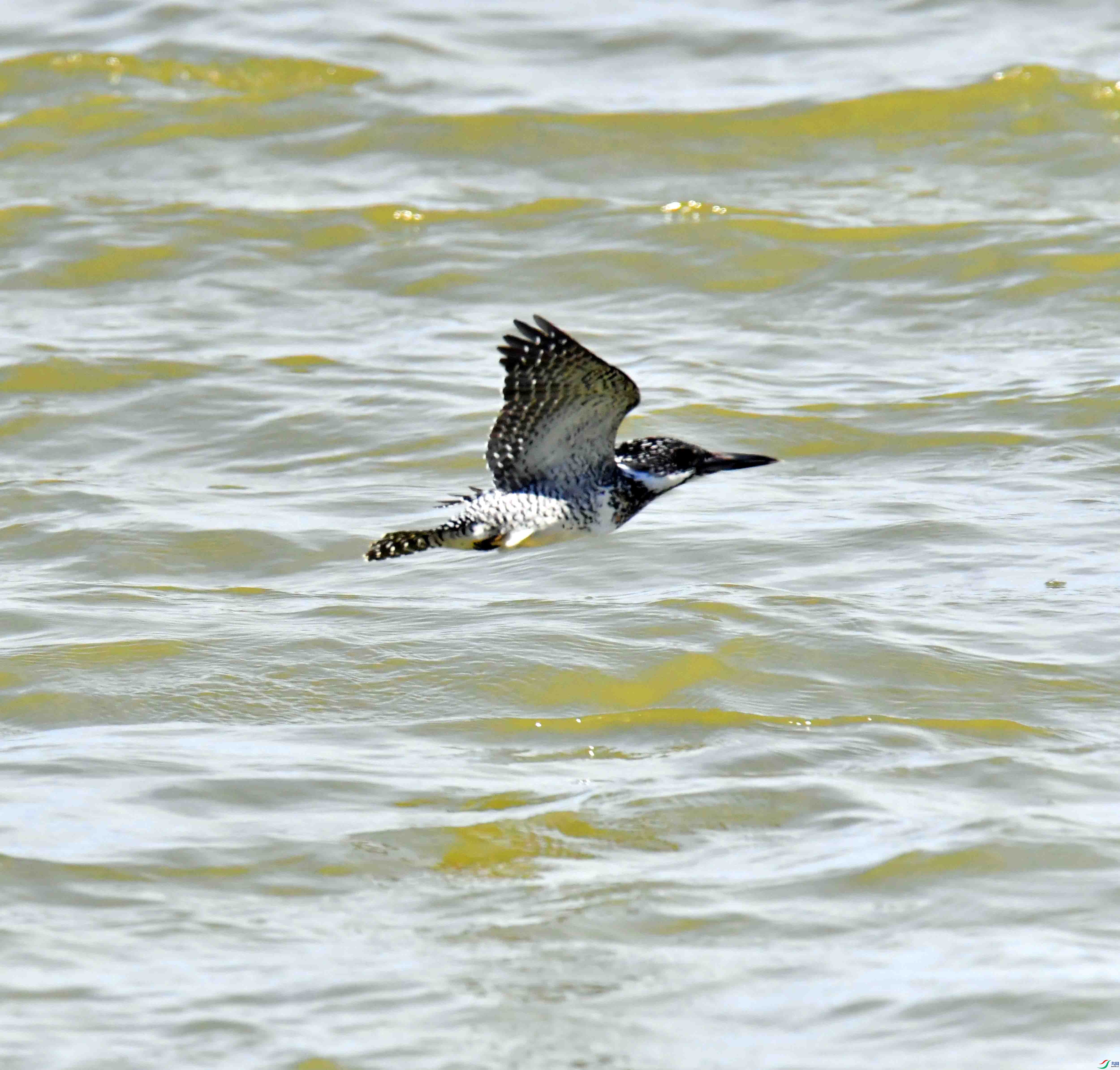 DSC_2606.JPG
