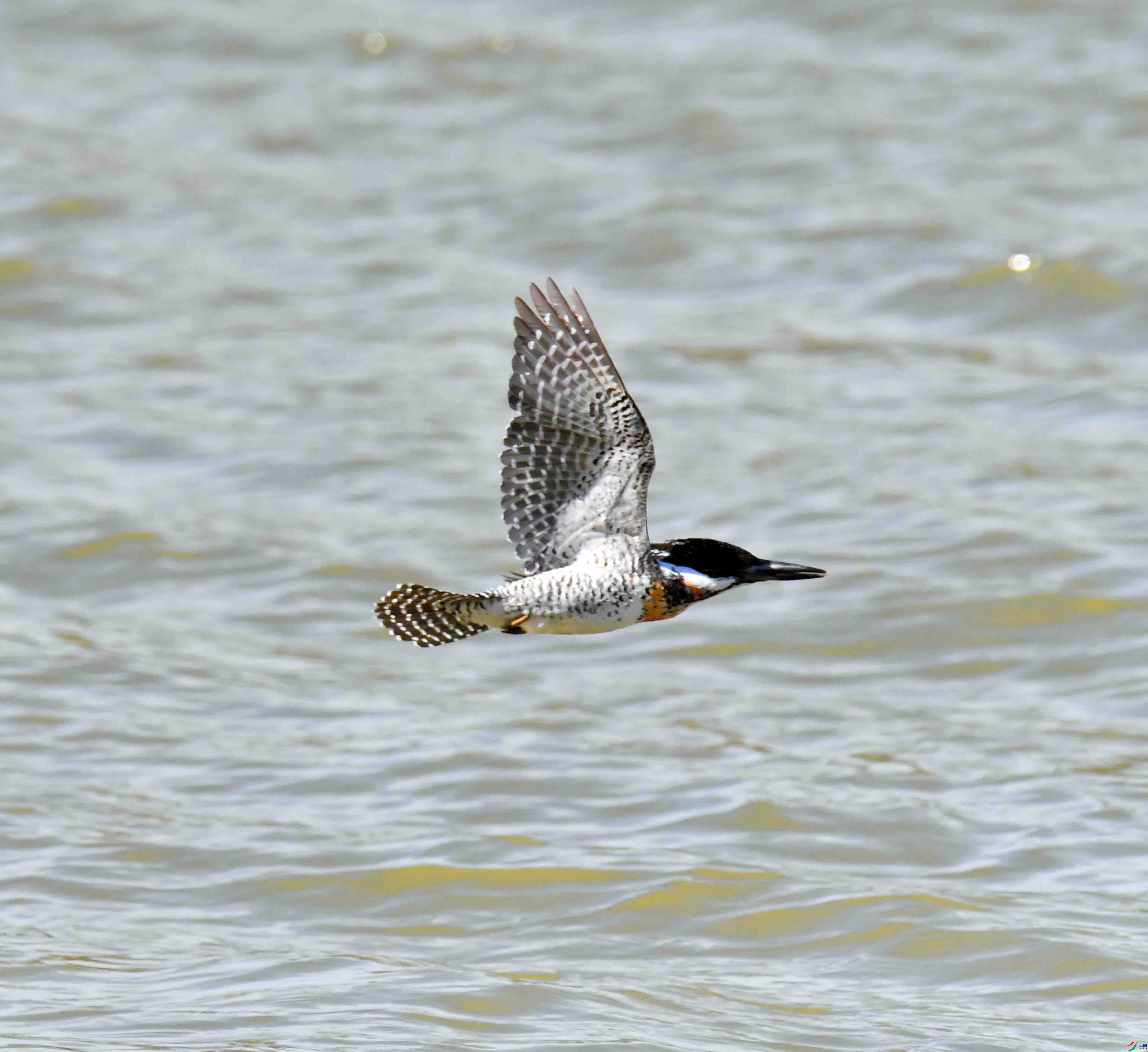 DSC_2671.JPG