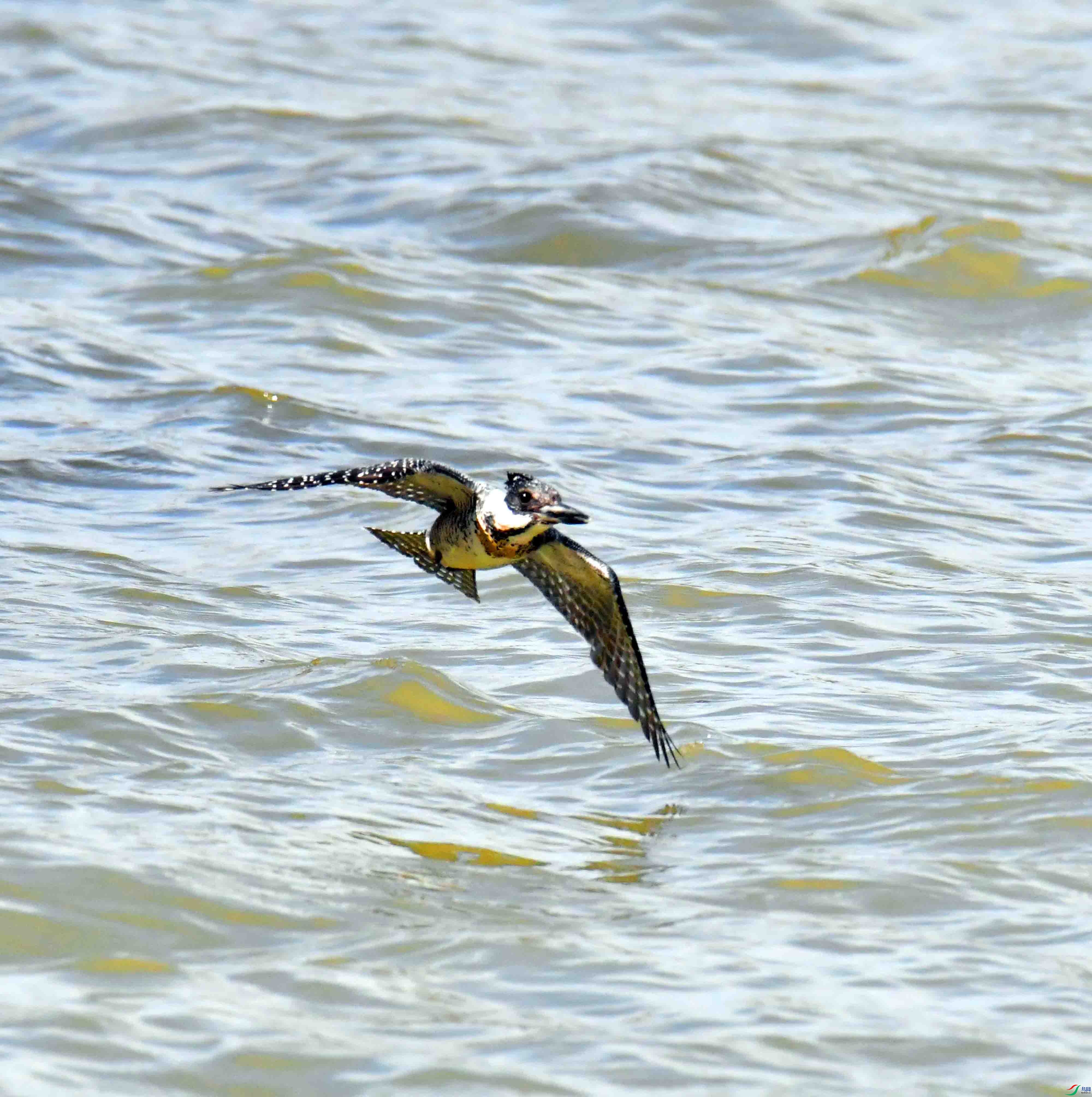 DSC_2669.JPG