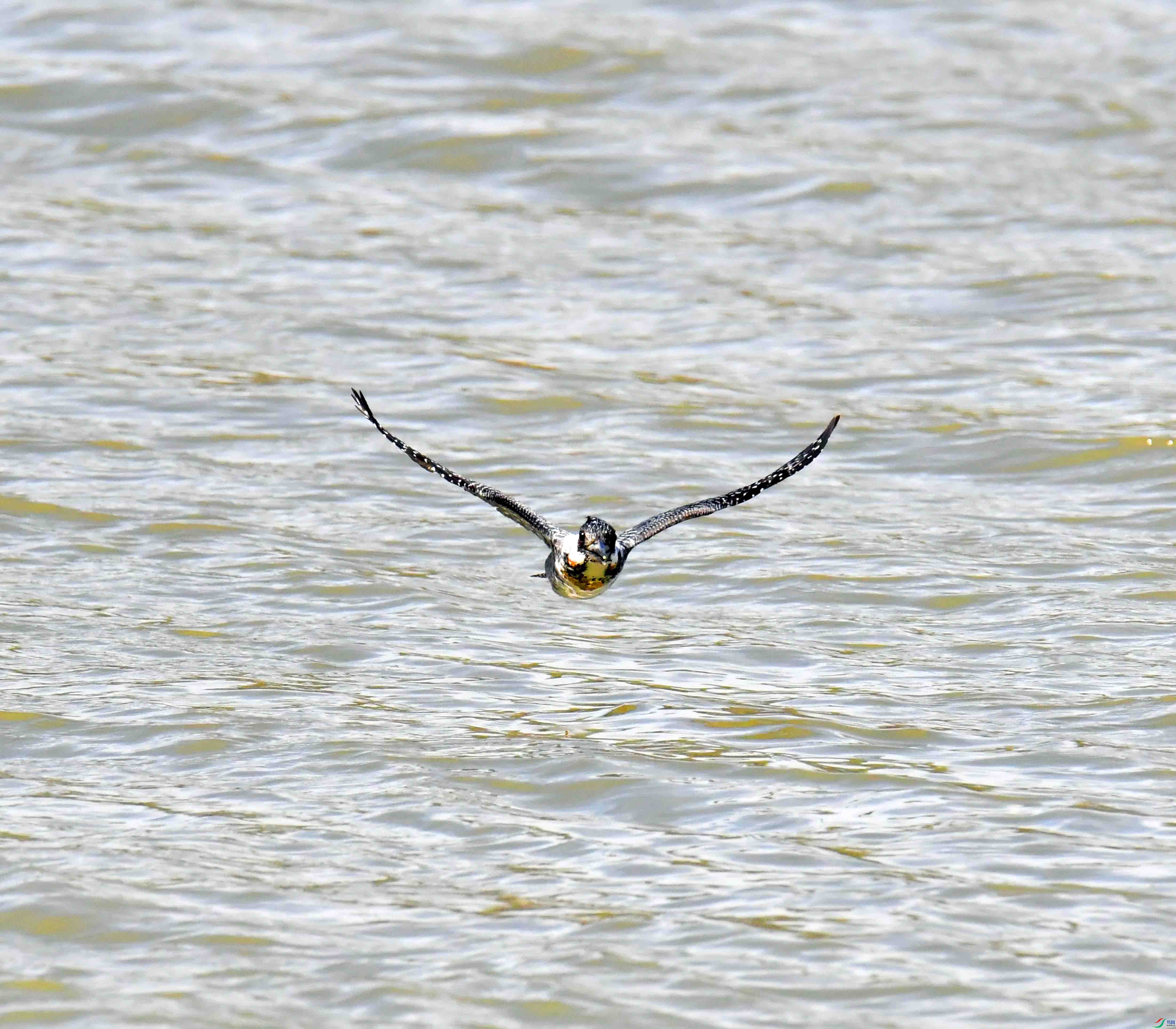 DSC_2685.JPG