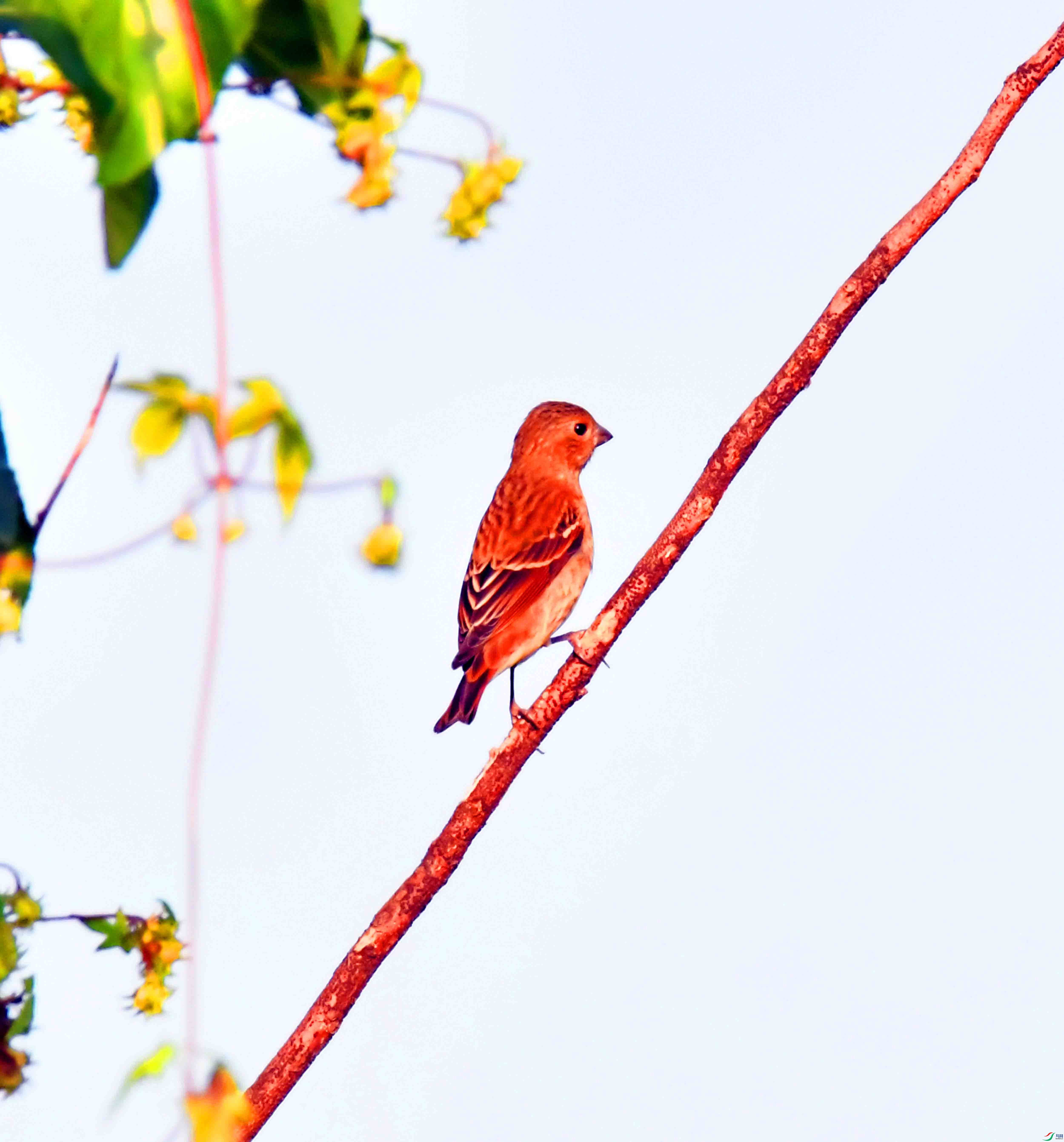DSC_2685.JPG