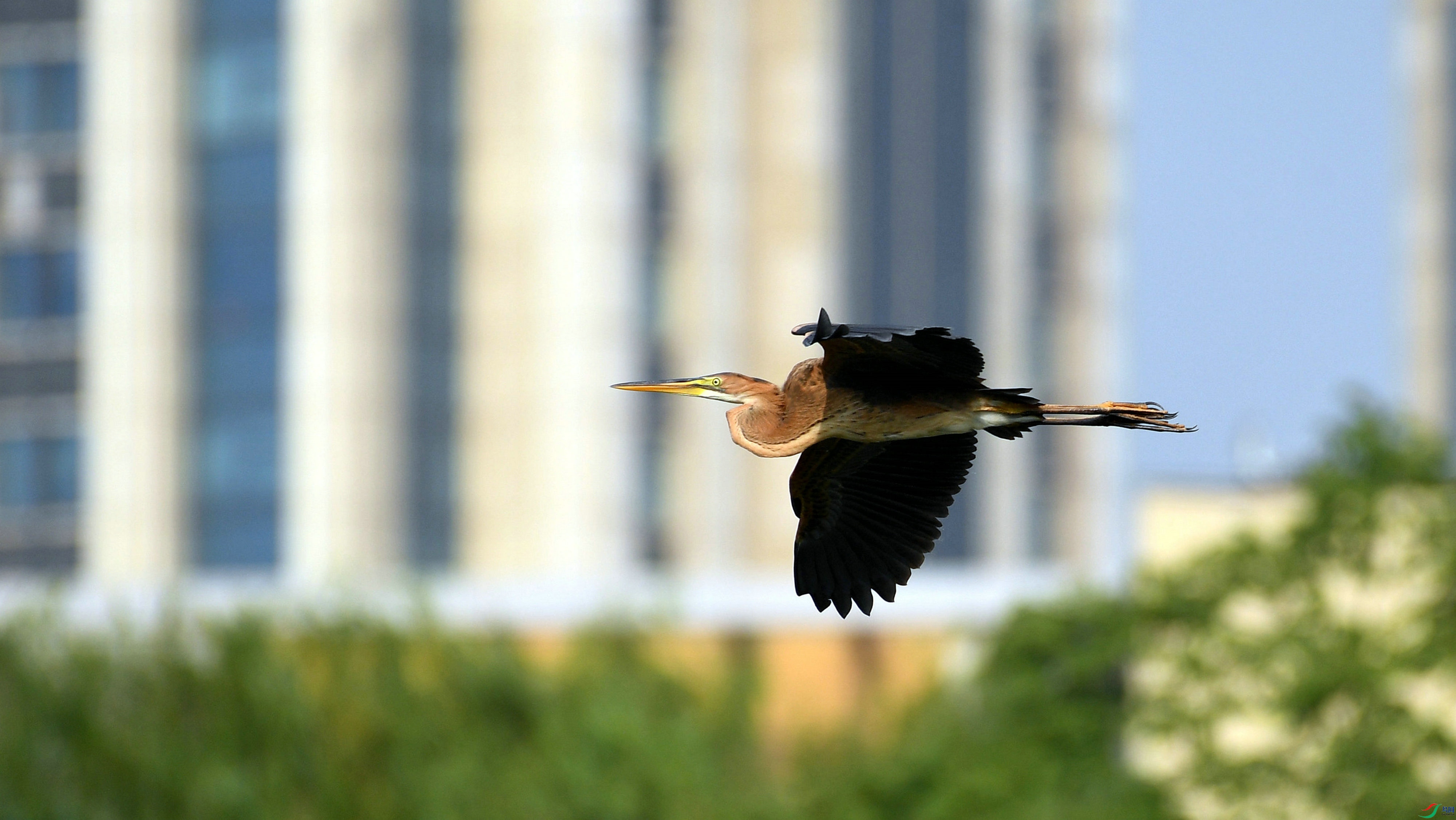 DSC_5501.JPG