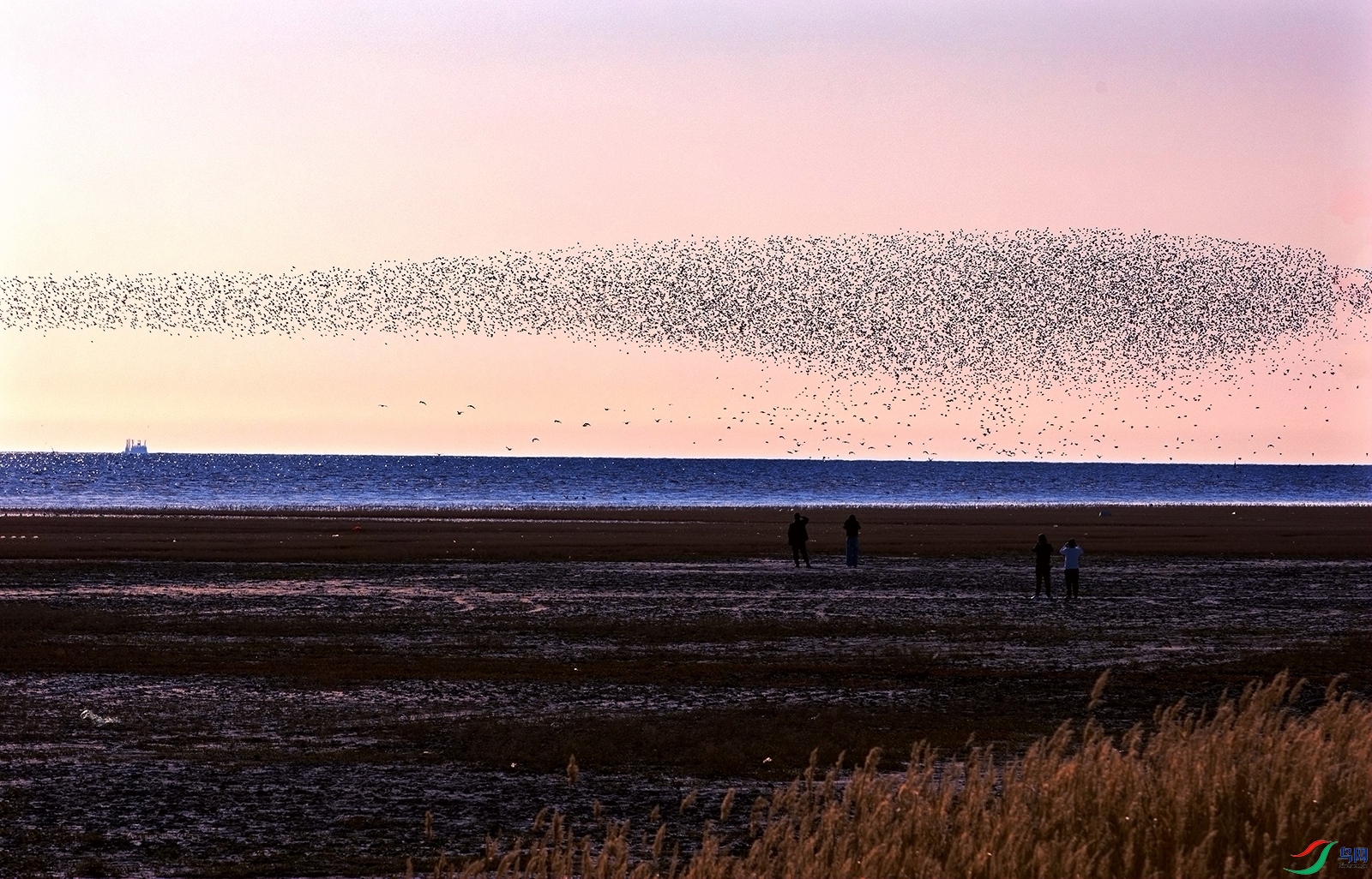 Ϧ������