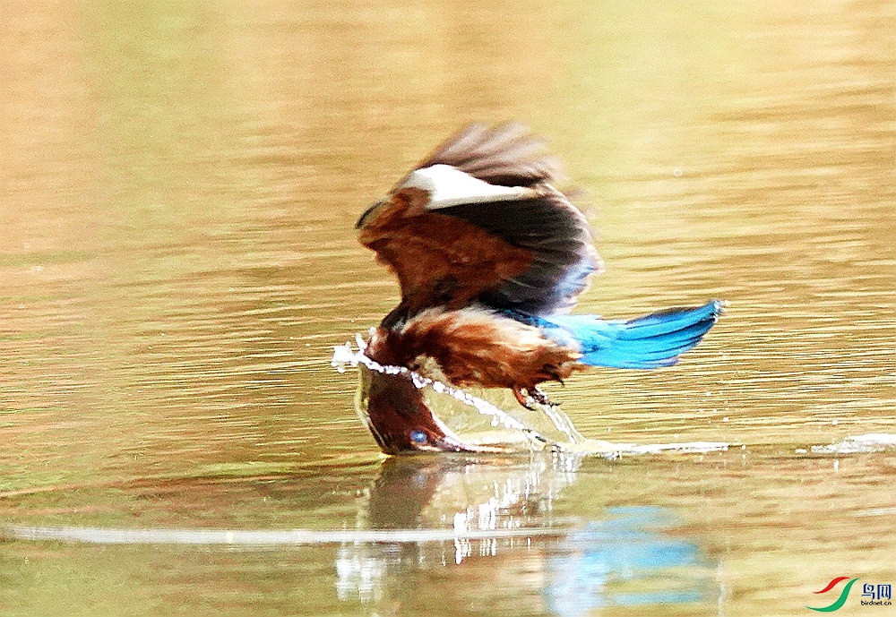 DSC08715 (2)_����.jpg