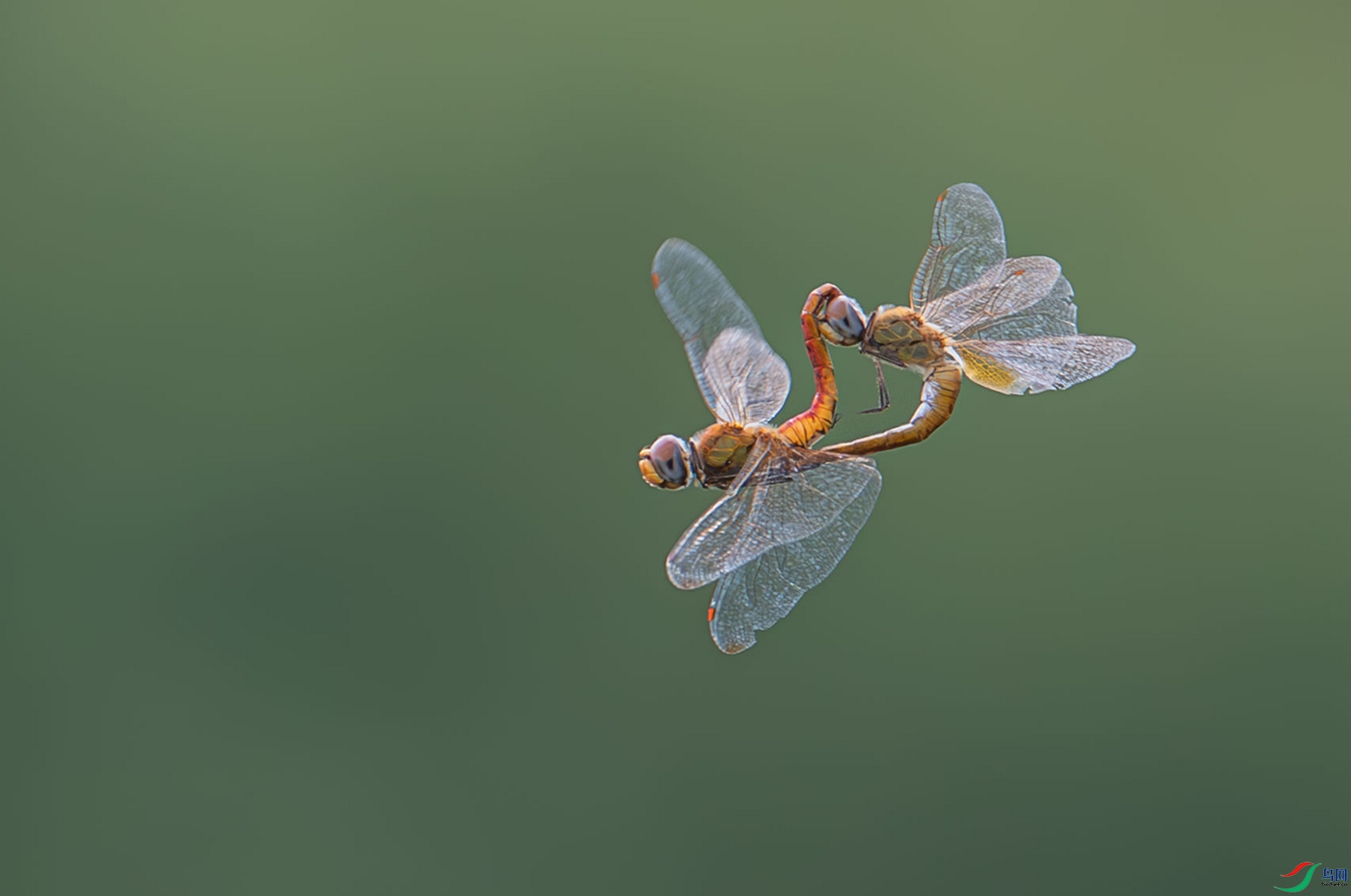 DSC_6638_����.jpg