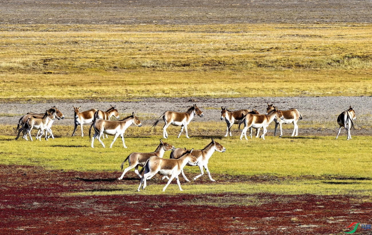 ��Ұ¿ (17)-01.jpg