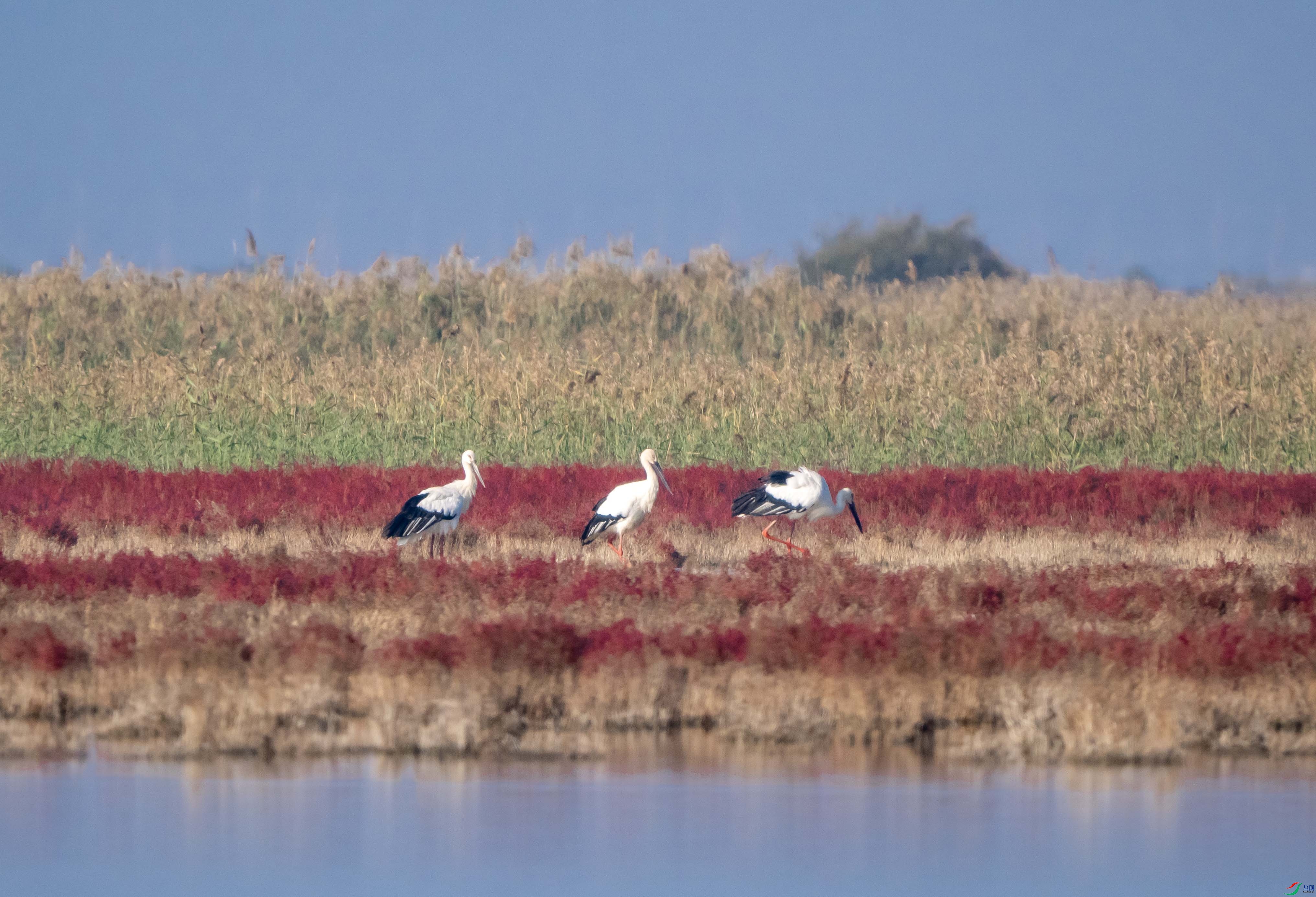 1-xtPA041327 ��ͼݵ�.jpg