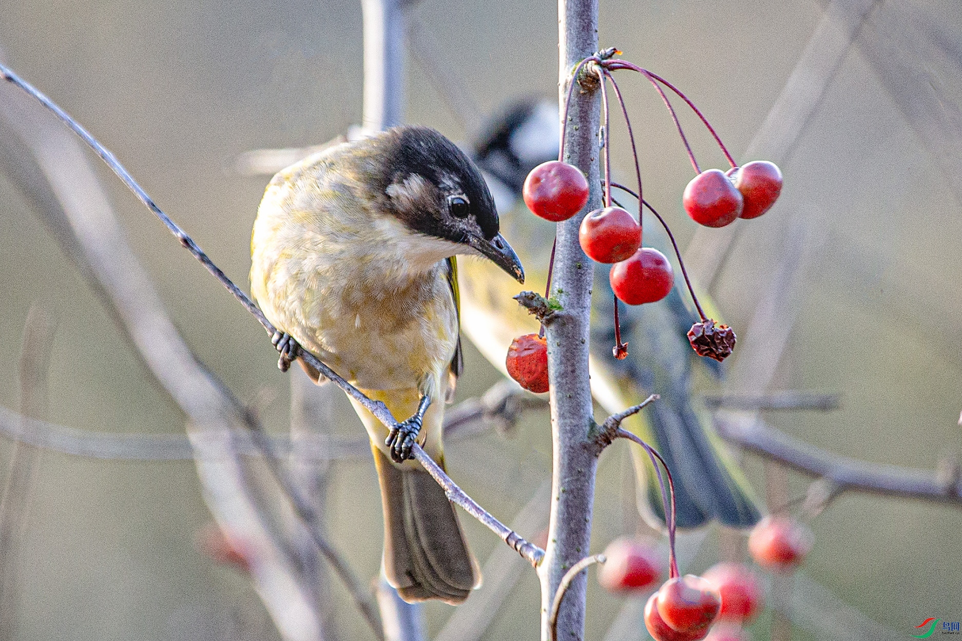 _MG_4487 ����.jpg