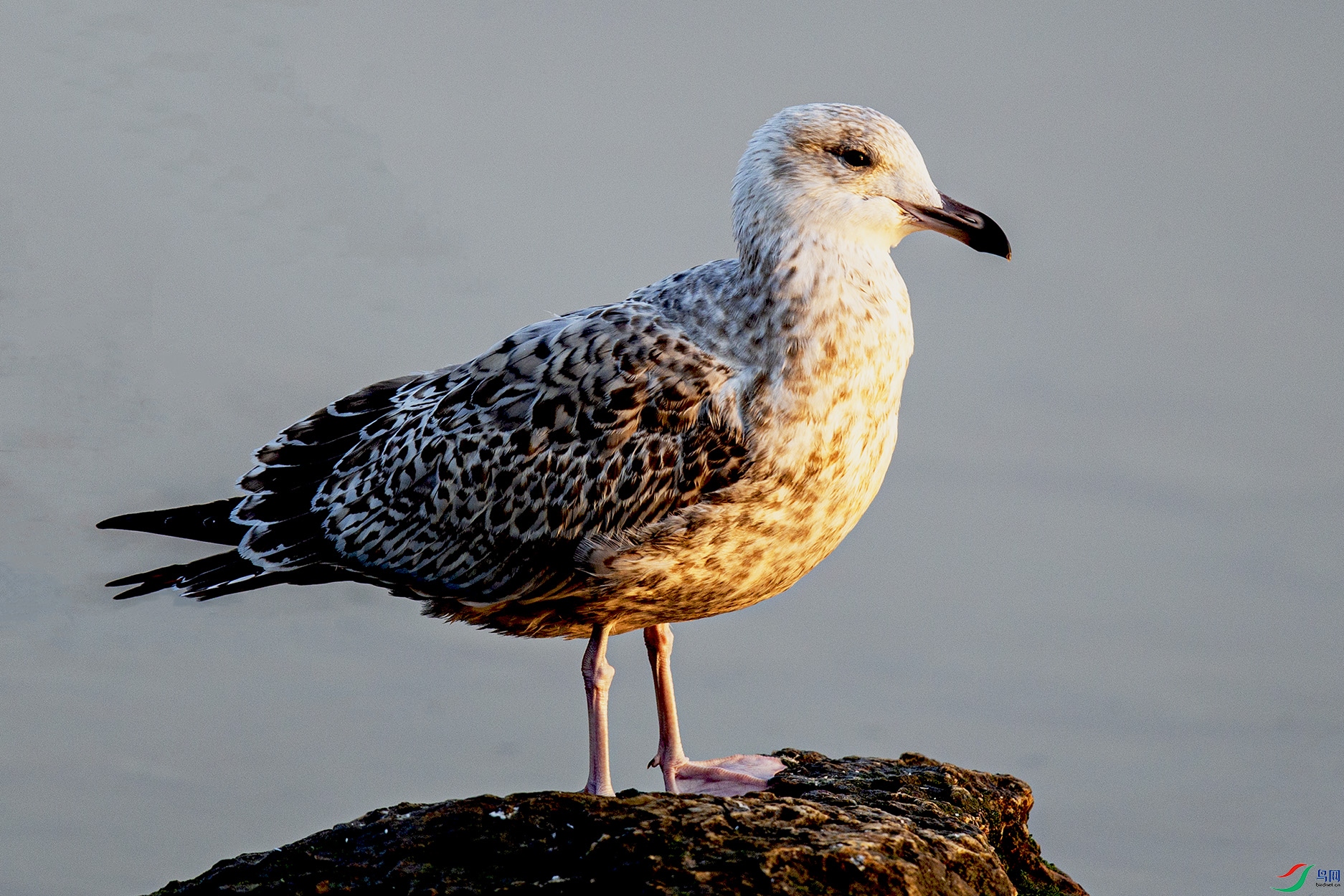 _MG_0182 ����.jpg