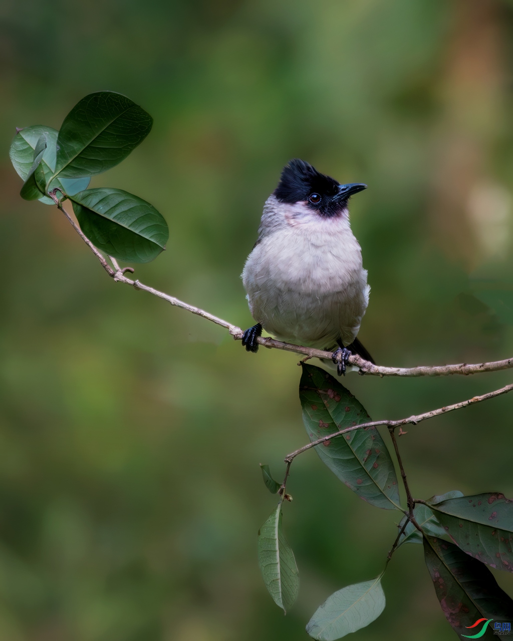 _DSC5508.jpg