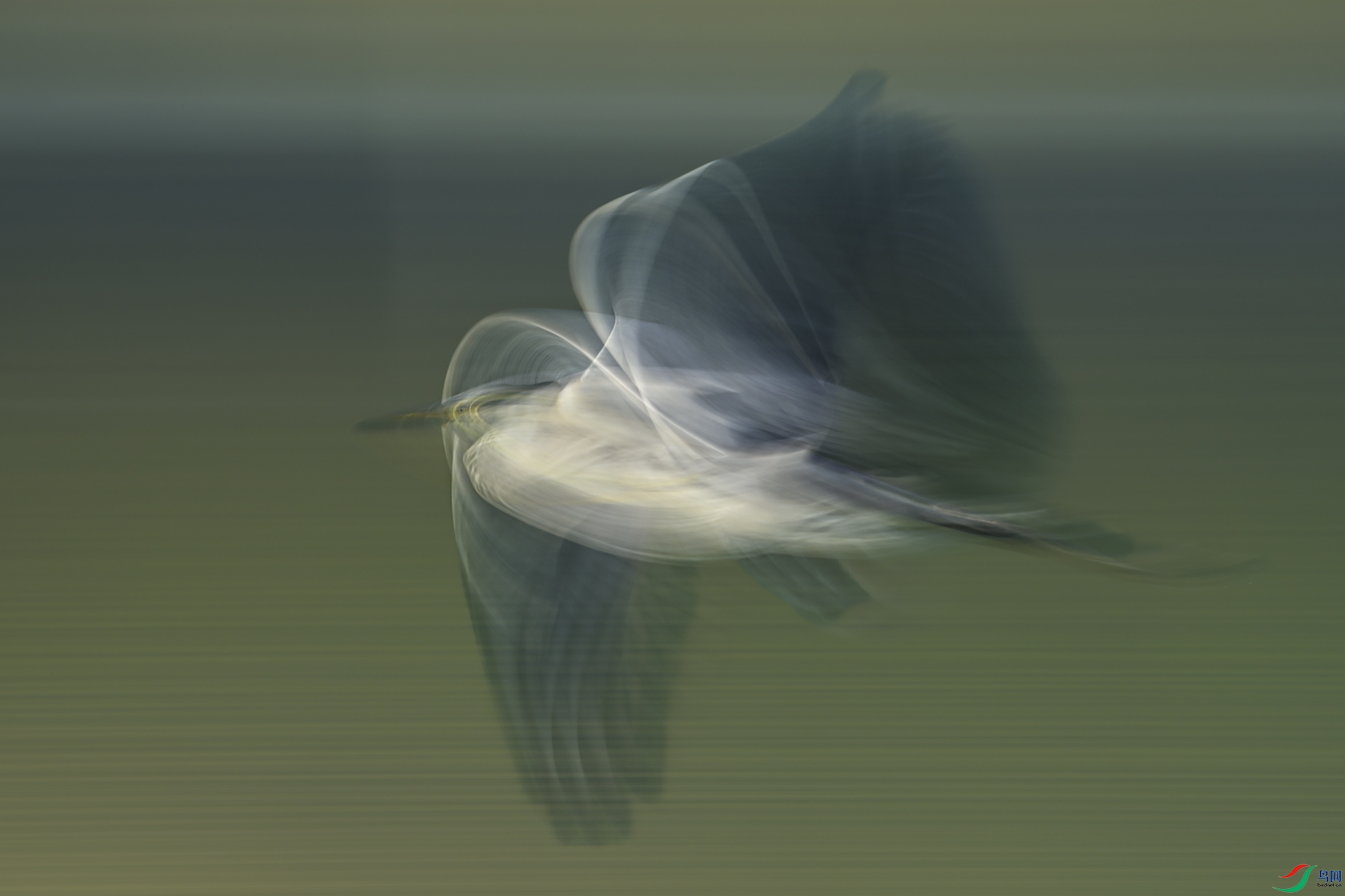 LN0061.JPG