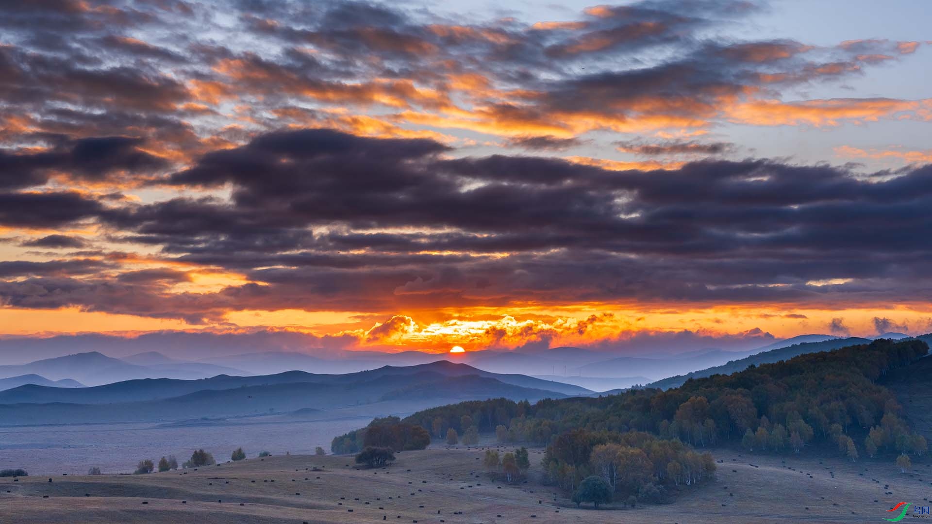 �����ճ�