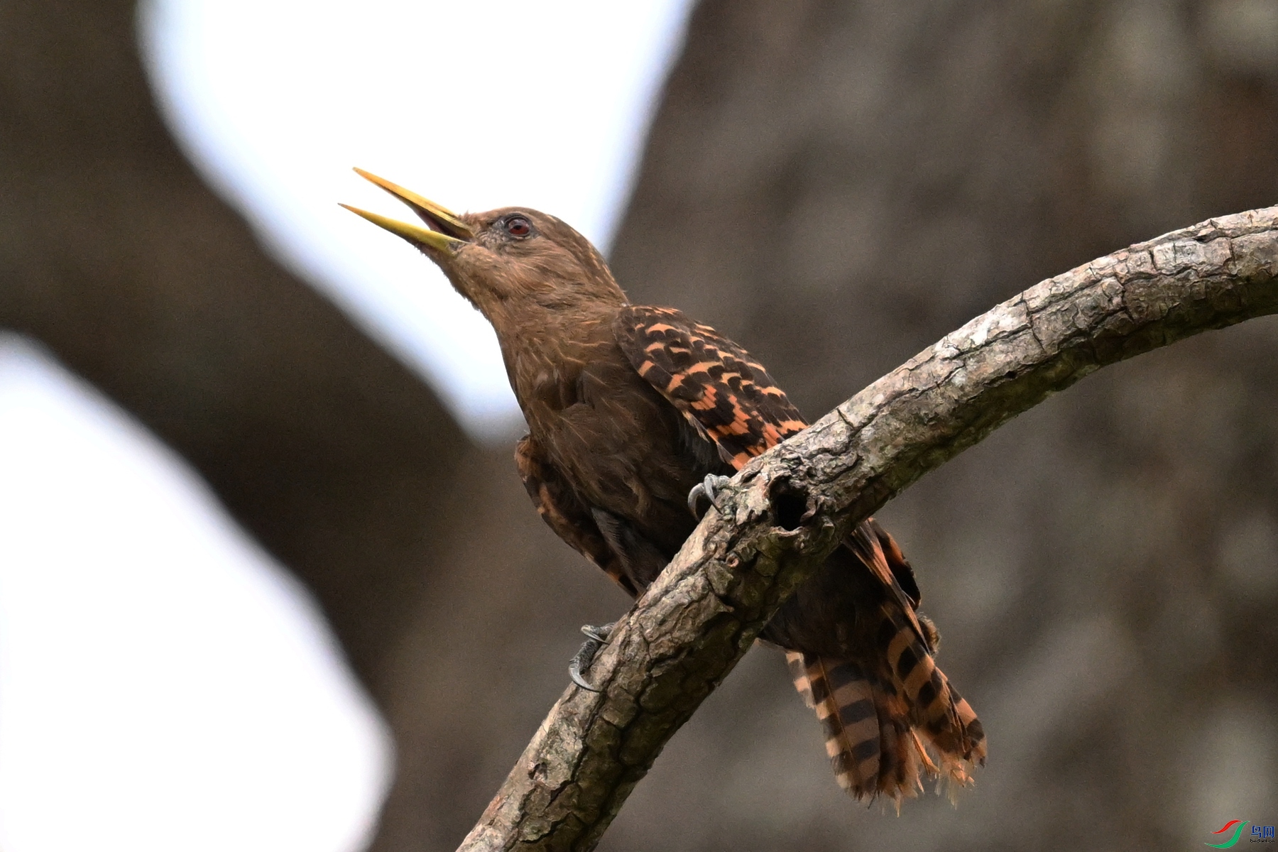DSC_9387.JPG