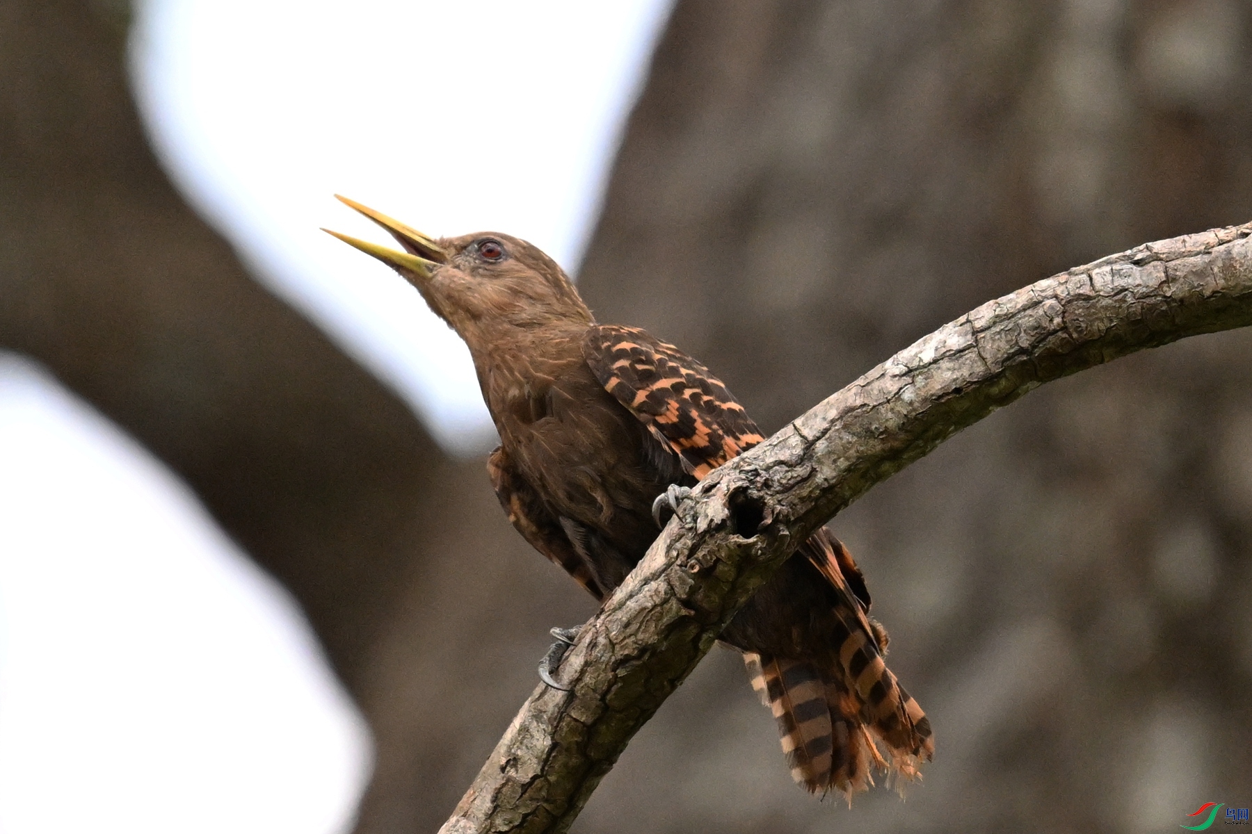 DSC_9388.JPG