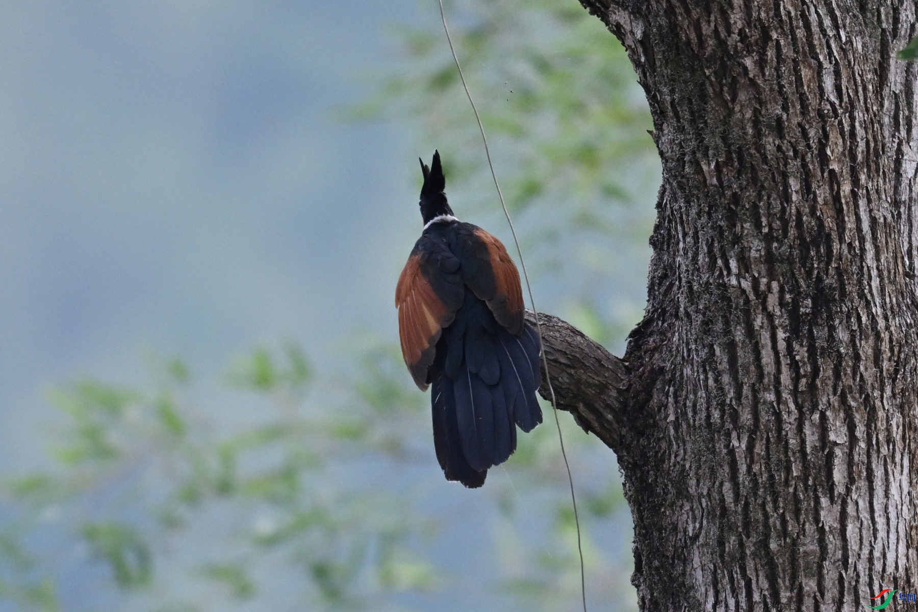 DSC_9243.JPG