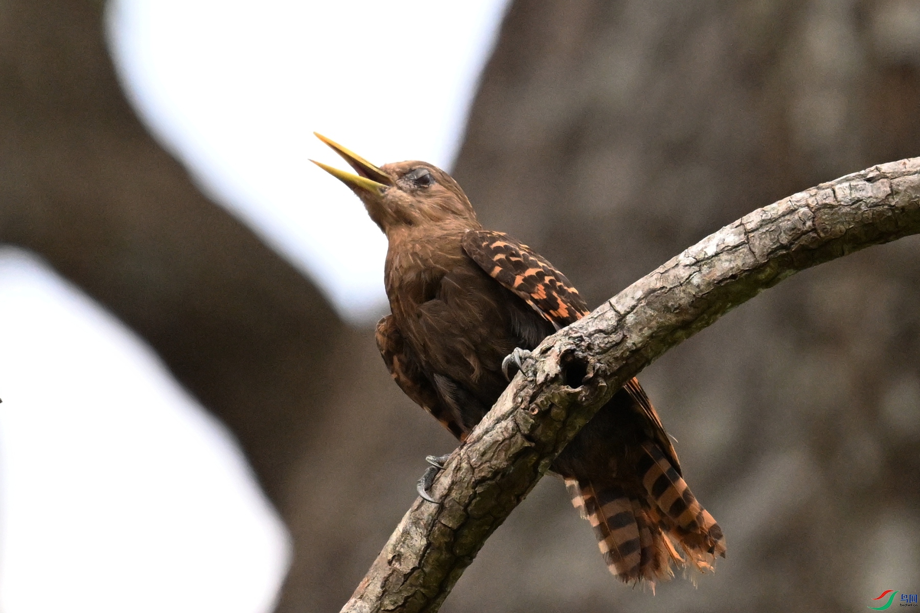 DSC_9389.JPG