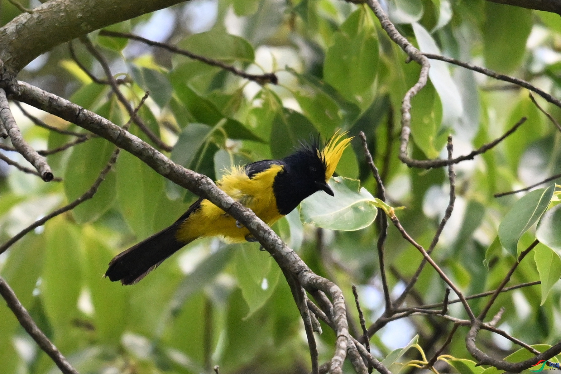 DSC_9382.JPG