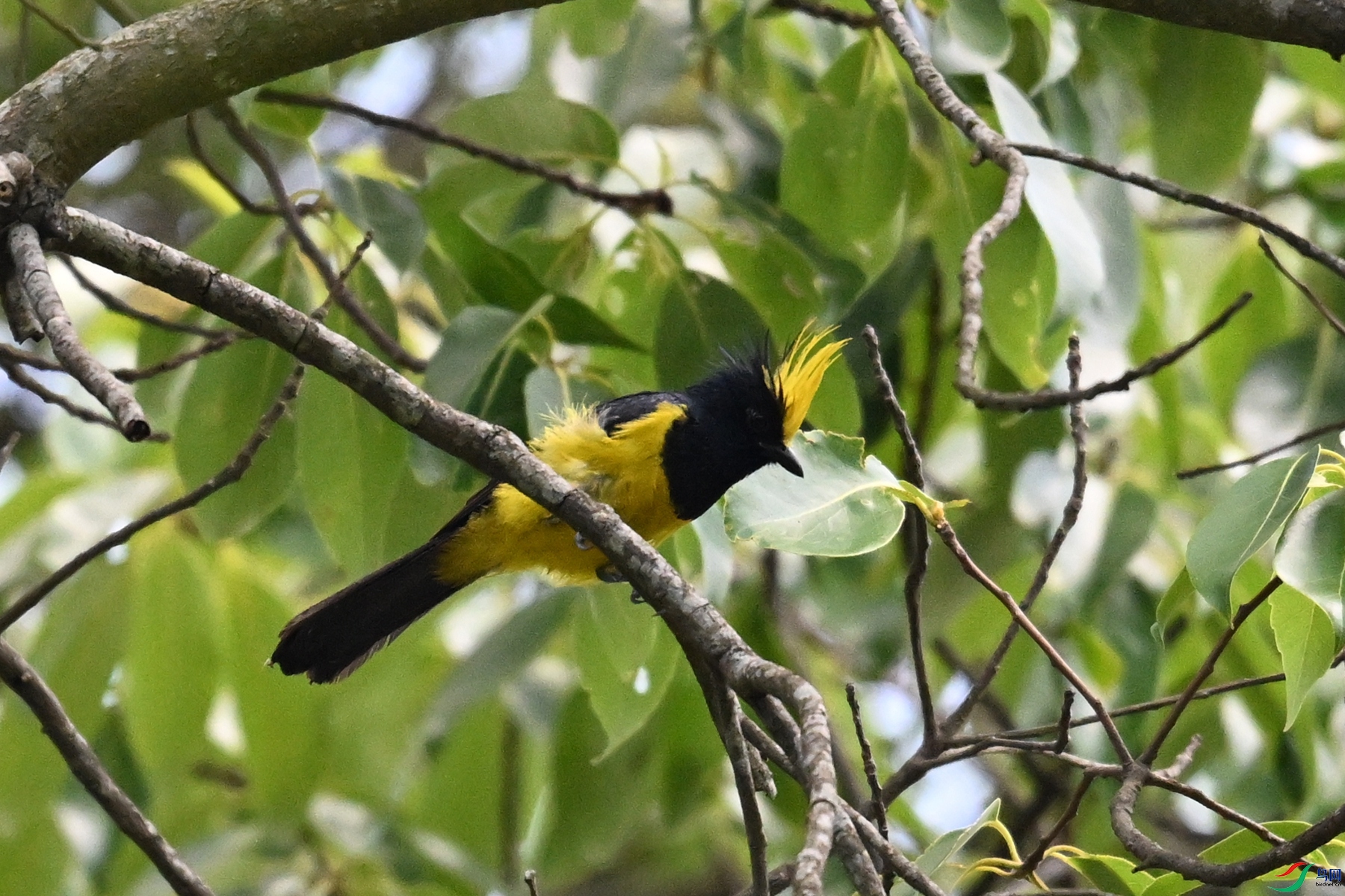 DSC_9381.JPG