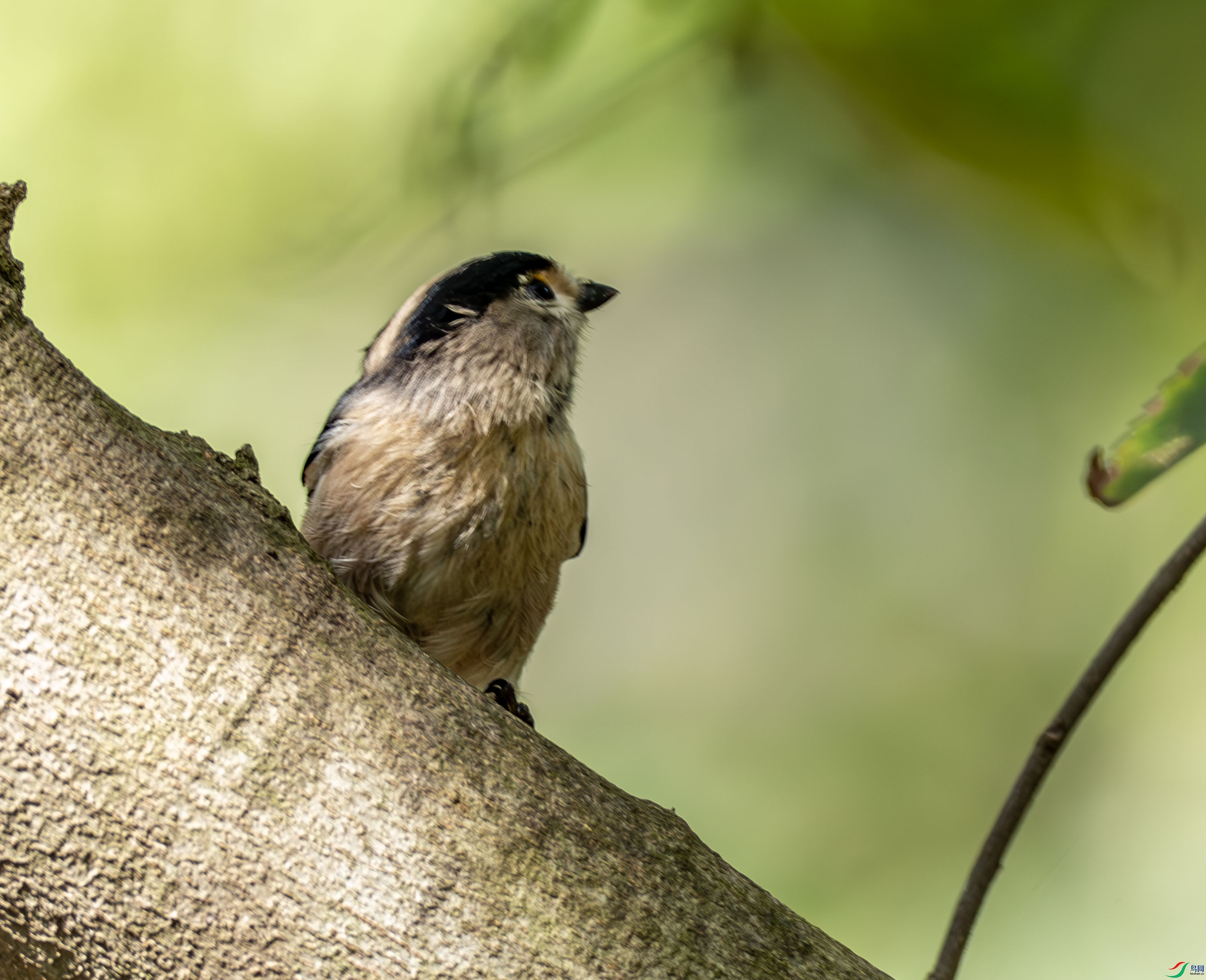 ������βɽȸ -1-3.jpg