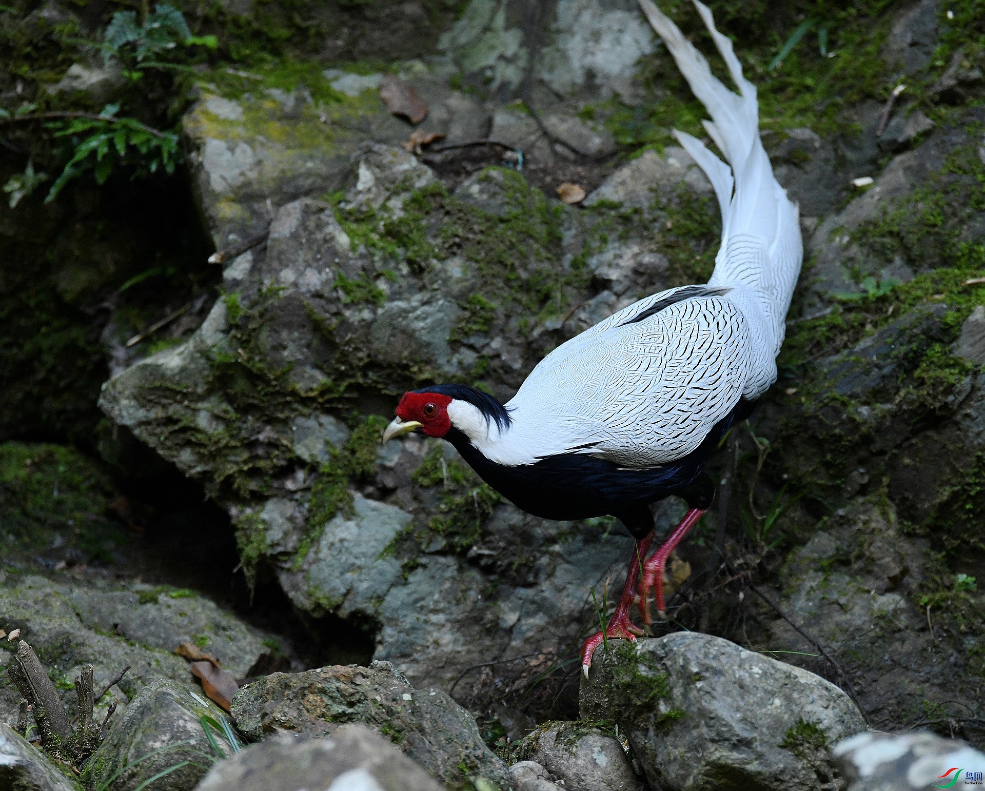 DSC_9710.jpg