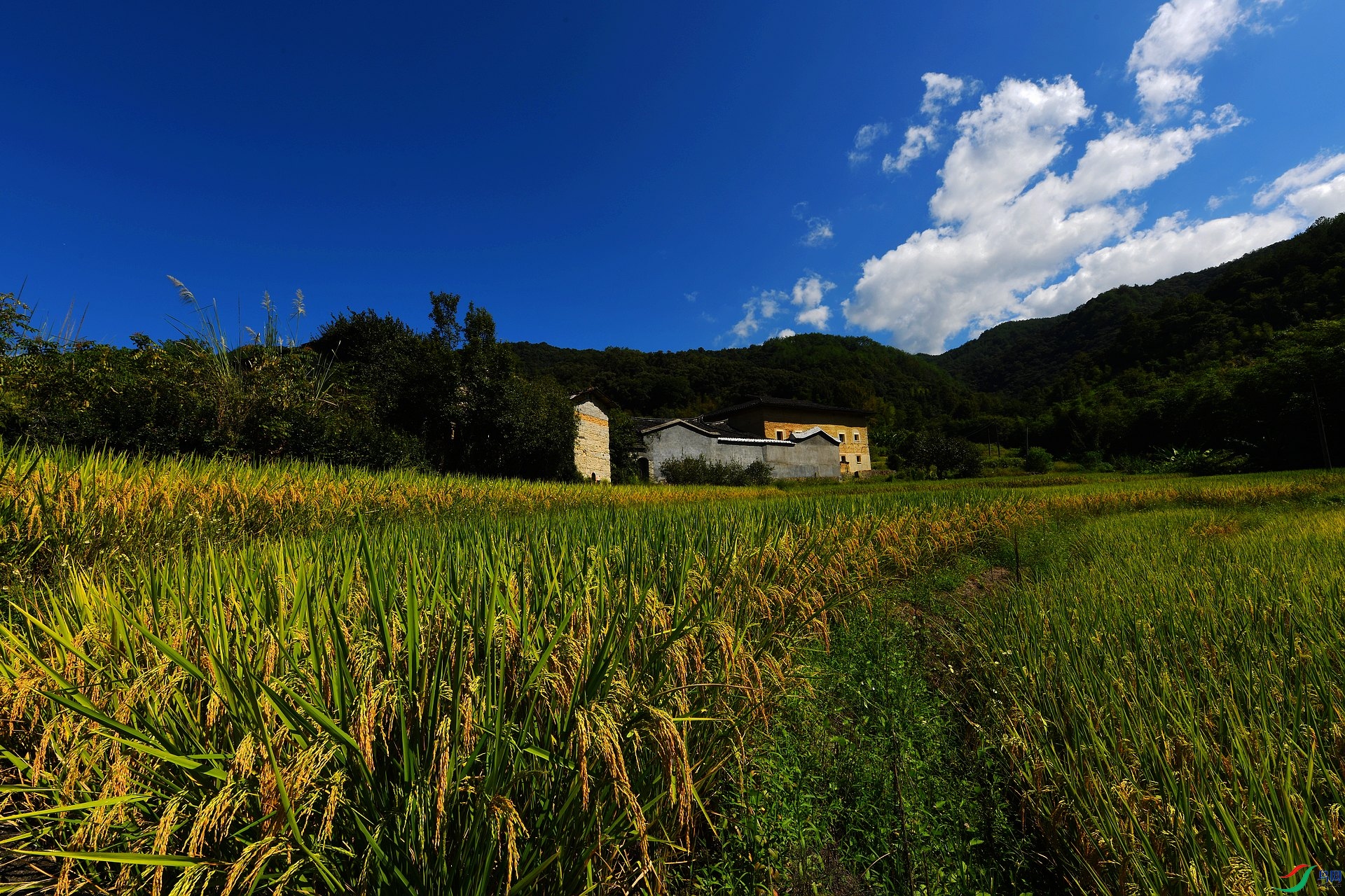 DSC_1522.jpg