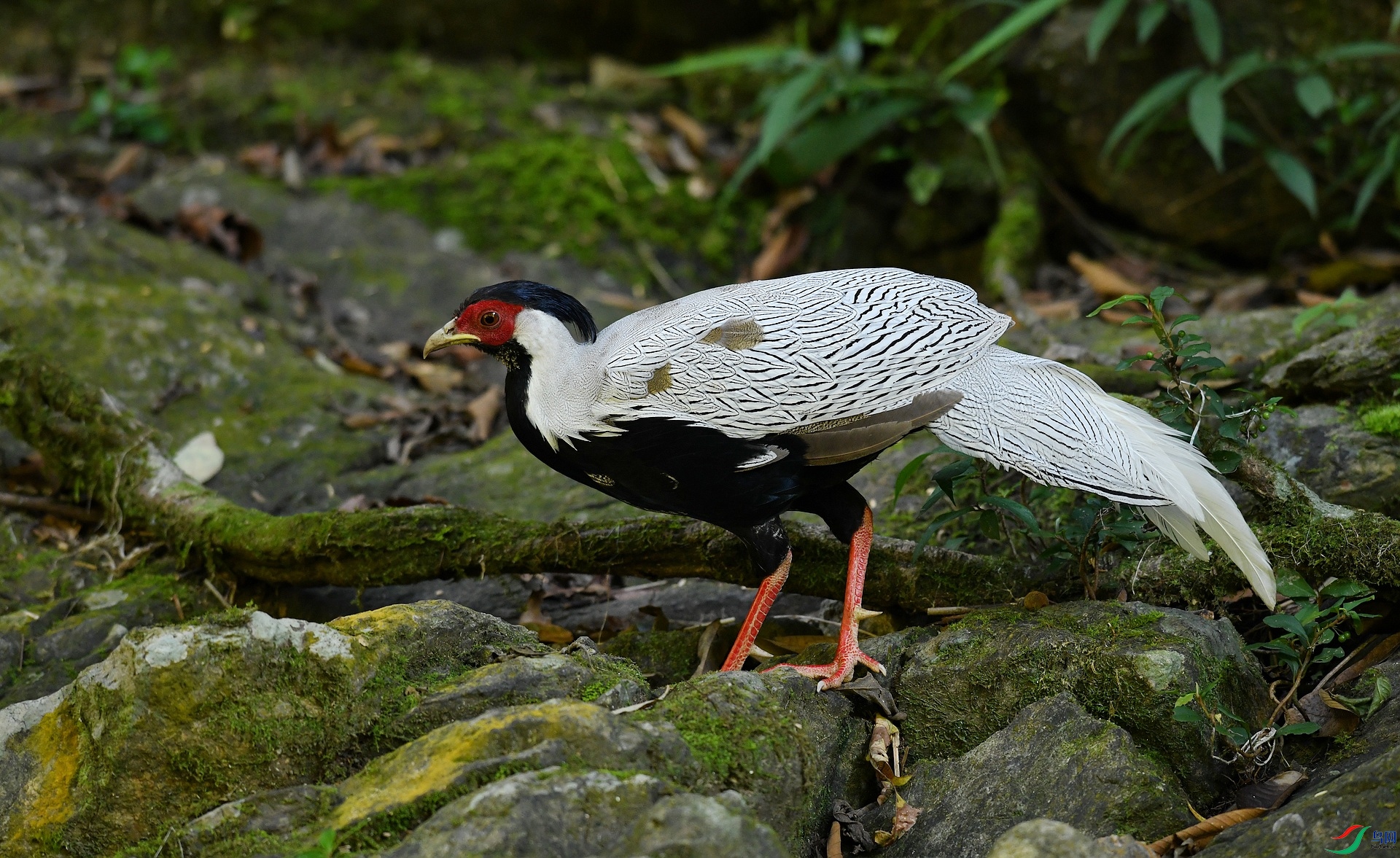 DSC_3400.jpg