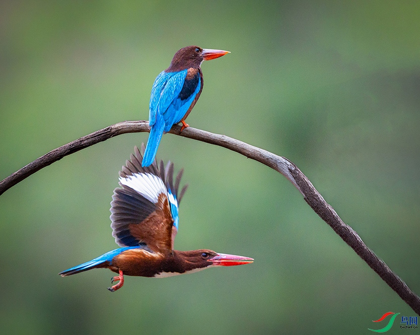 6H7A9727 ����.jpg