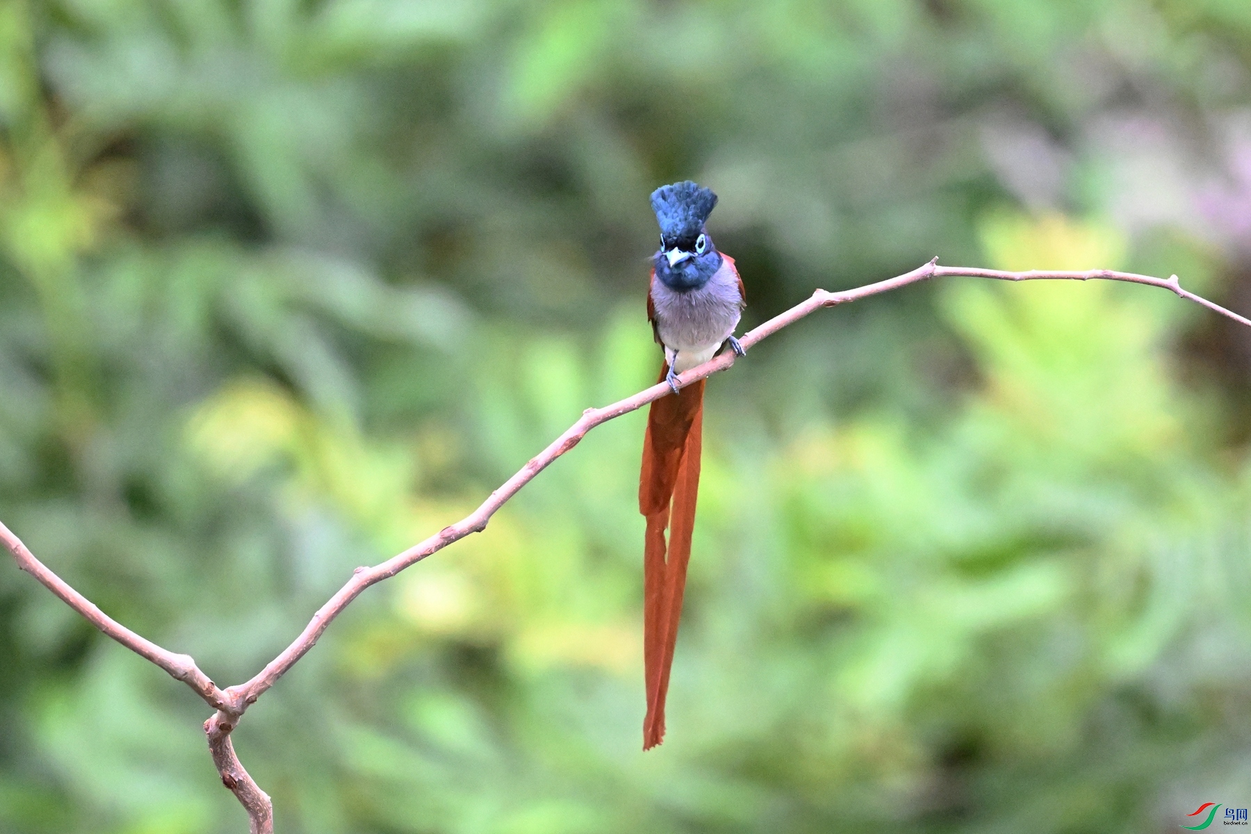 DSC_6257.JPG