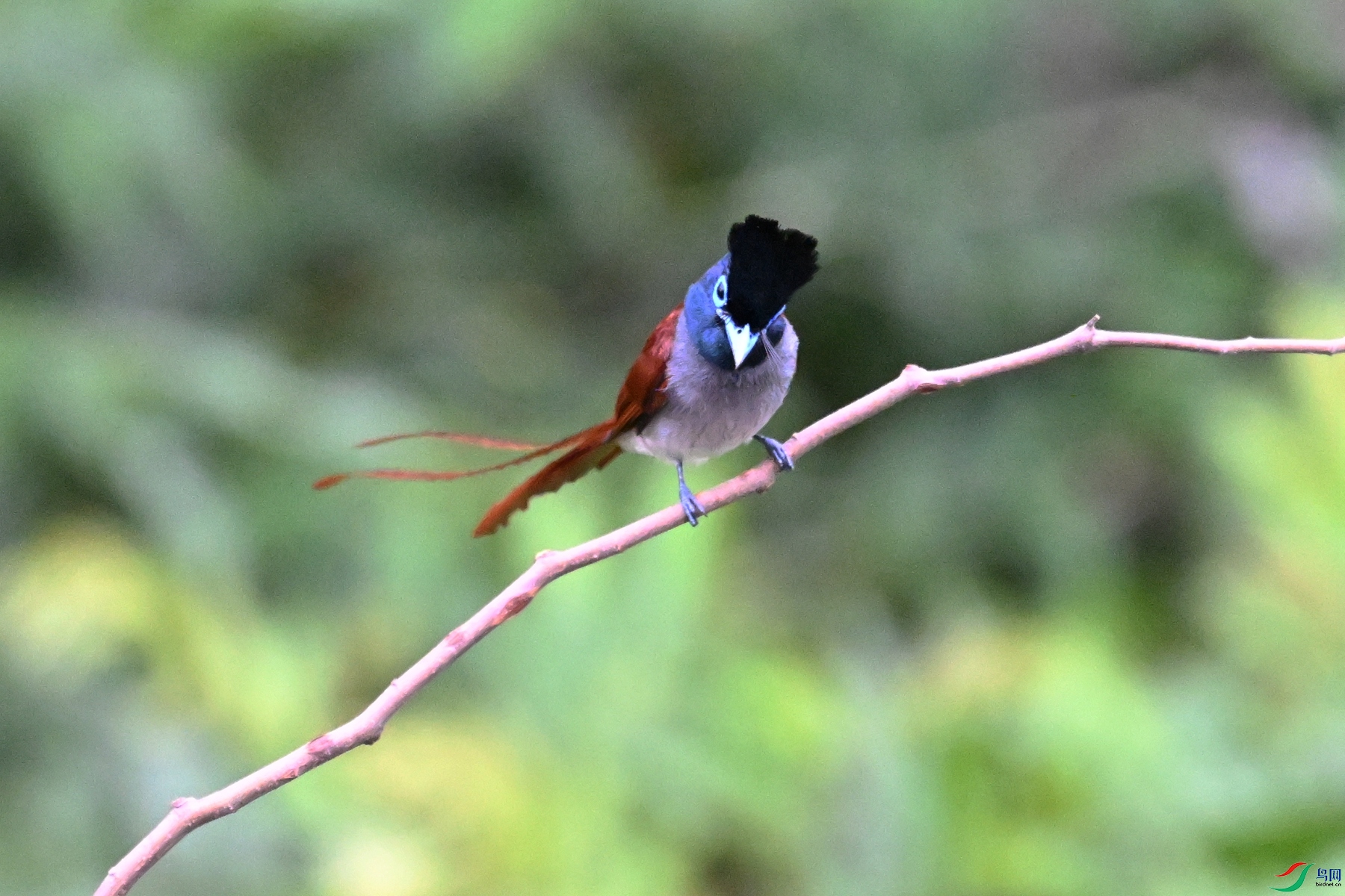 DSC_6261.JPG