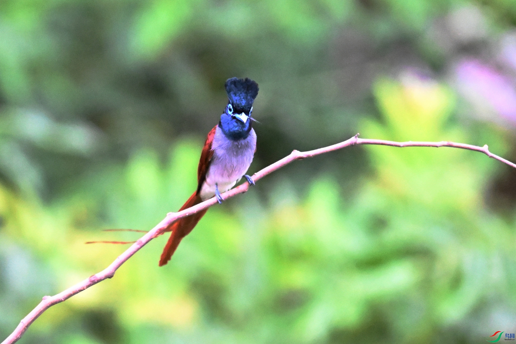 DSC_6262.JPG