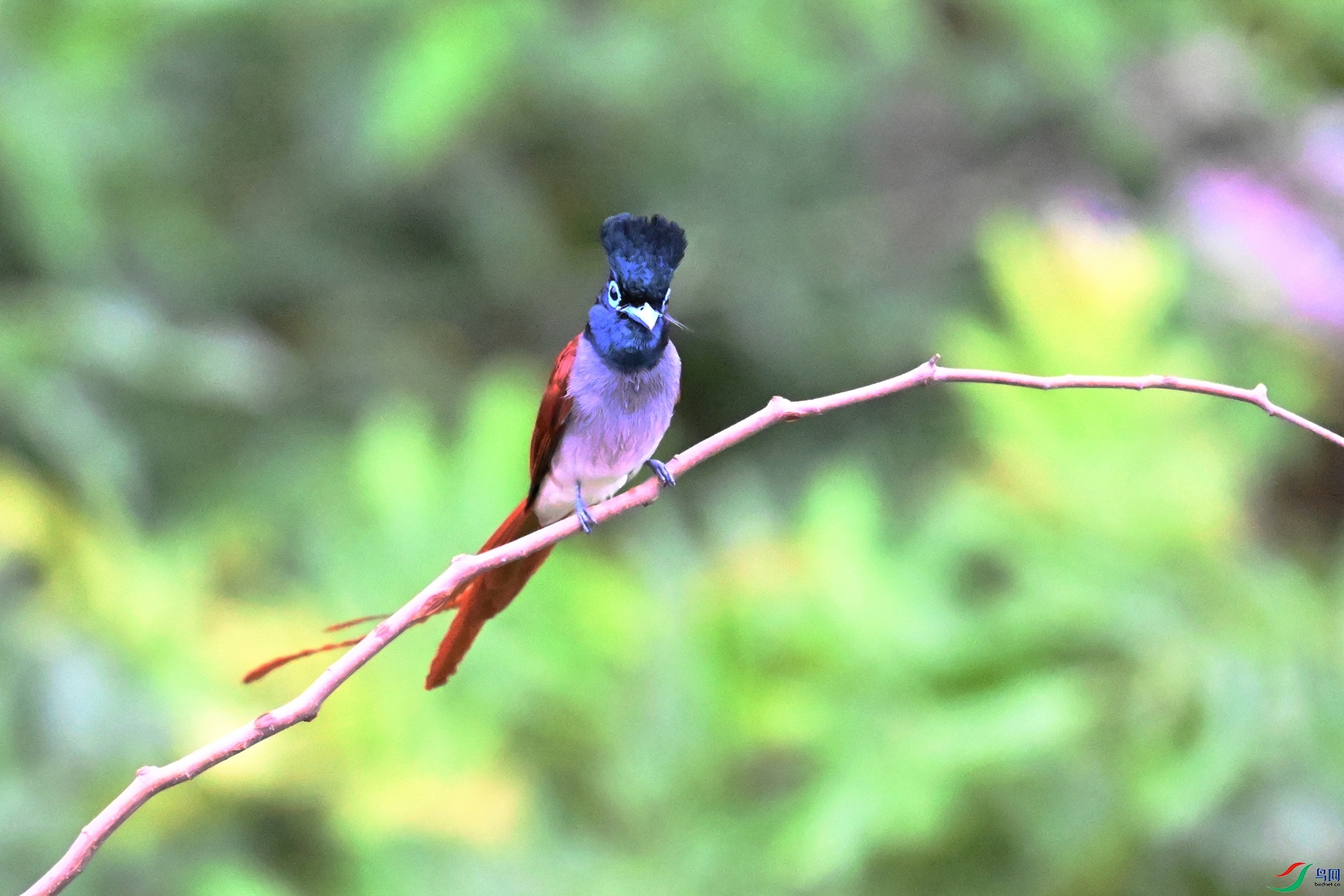 DSC_6264.JPG