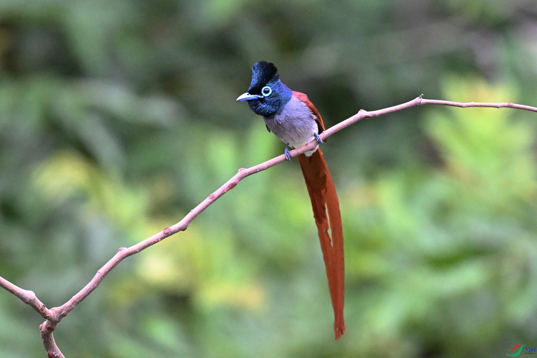 DSC_6268.JPG