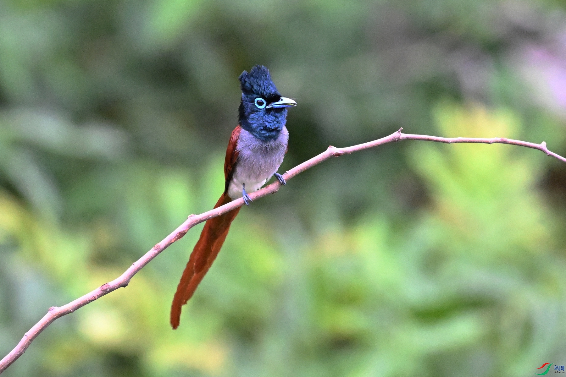 DSC_6266.JPG