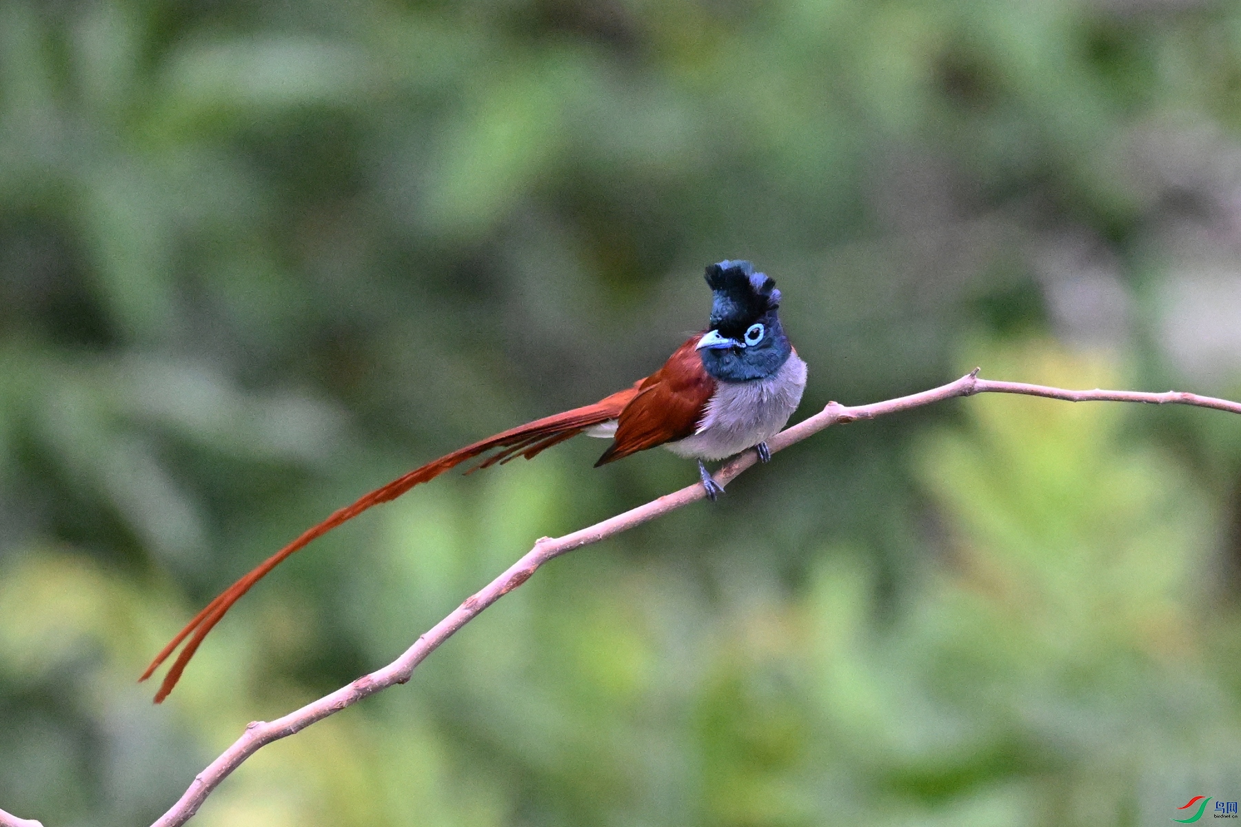 DSC_6272.JPG