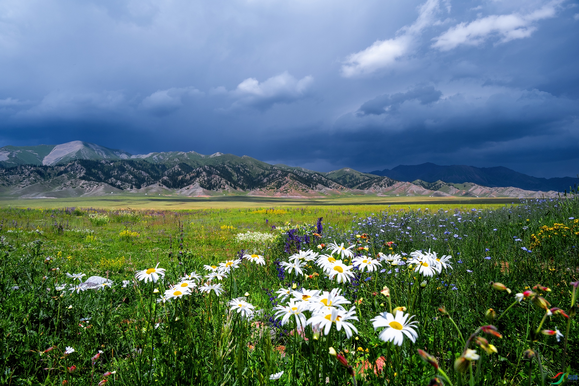 DSC_8772 - ·�߷��.jpg