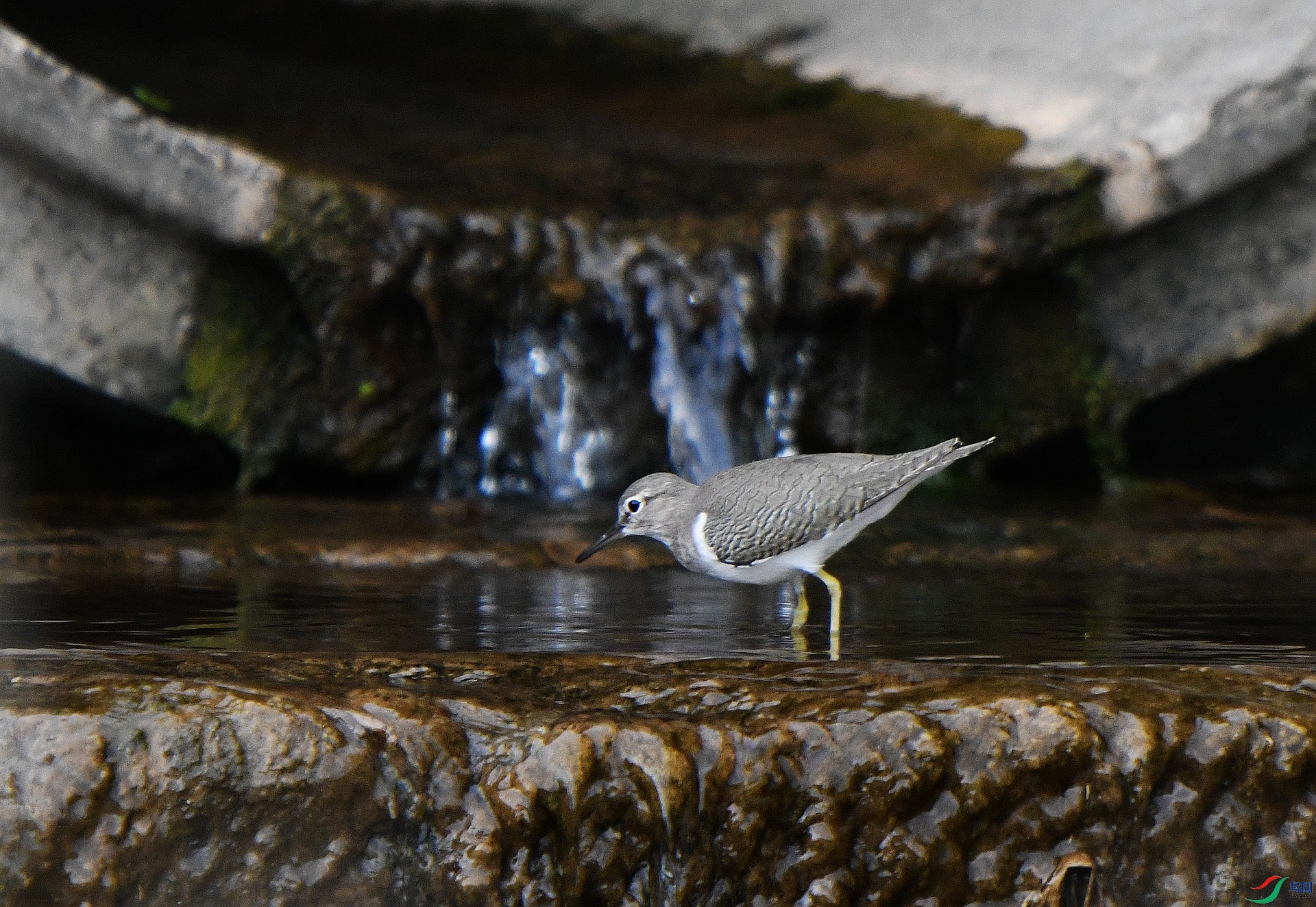 DSC_2637.jpg