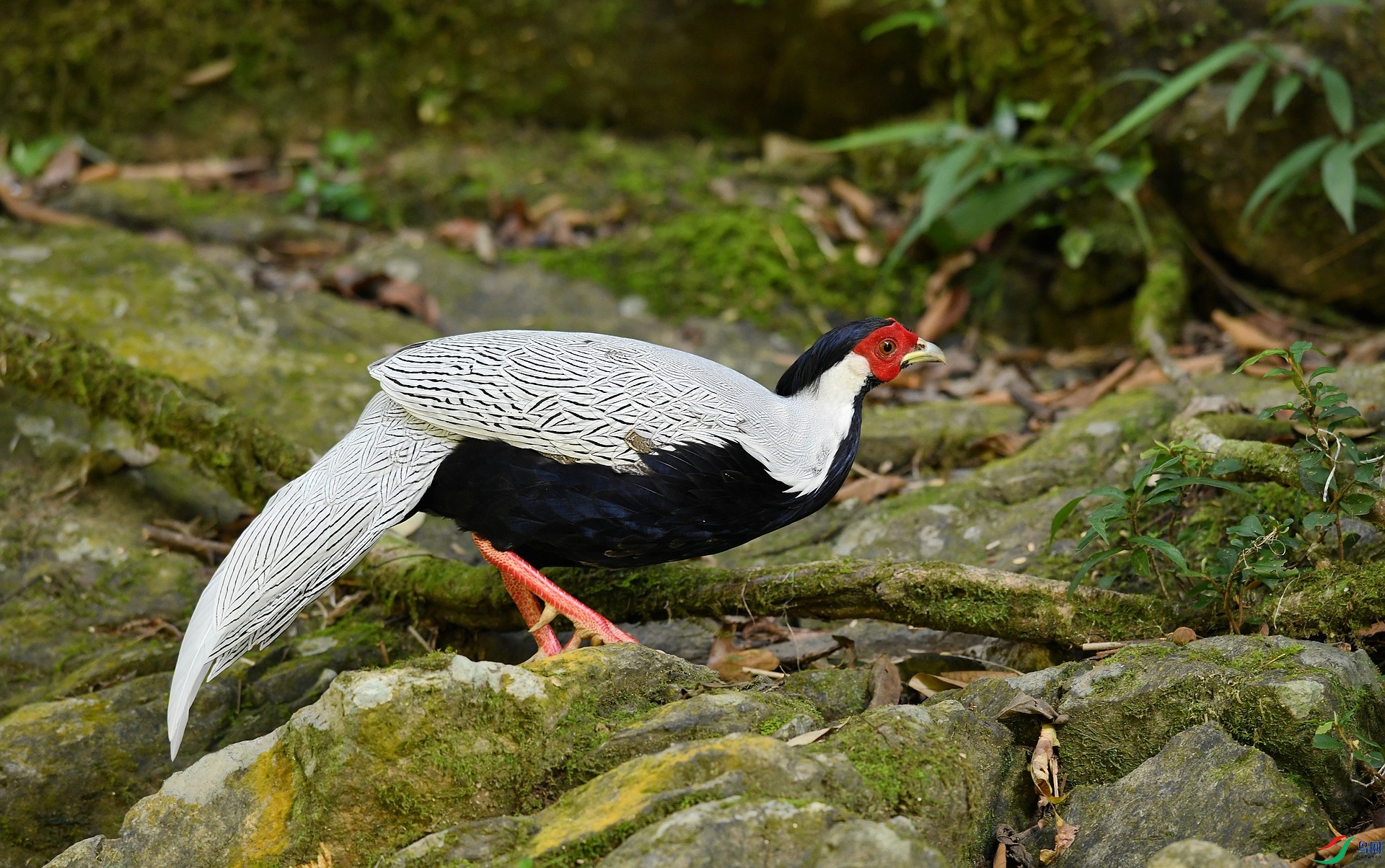 DSC_3186.jpg