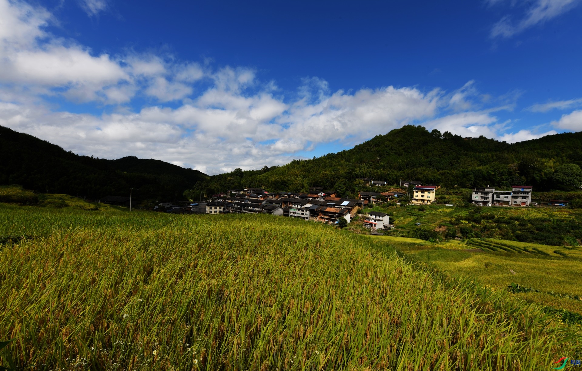 DSC_7926.jpg