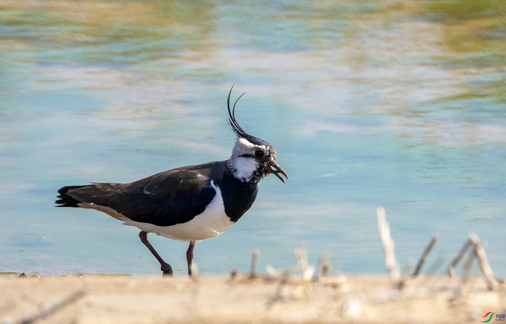 DSC01902-����ǿ-NR ����.jpg