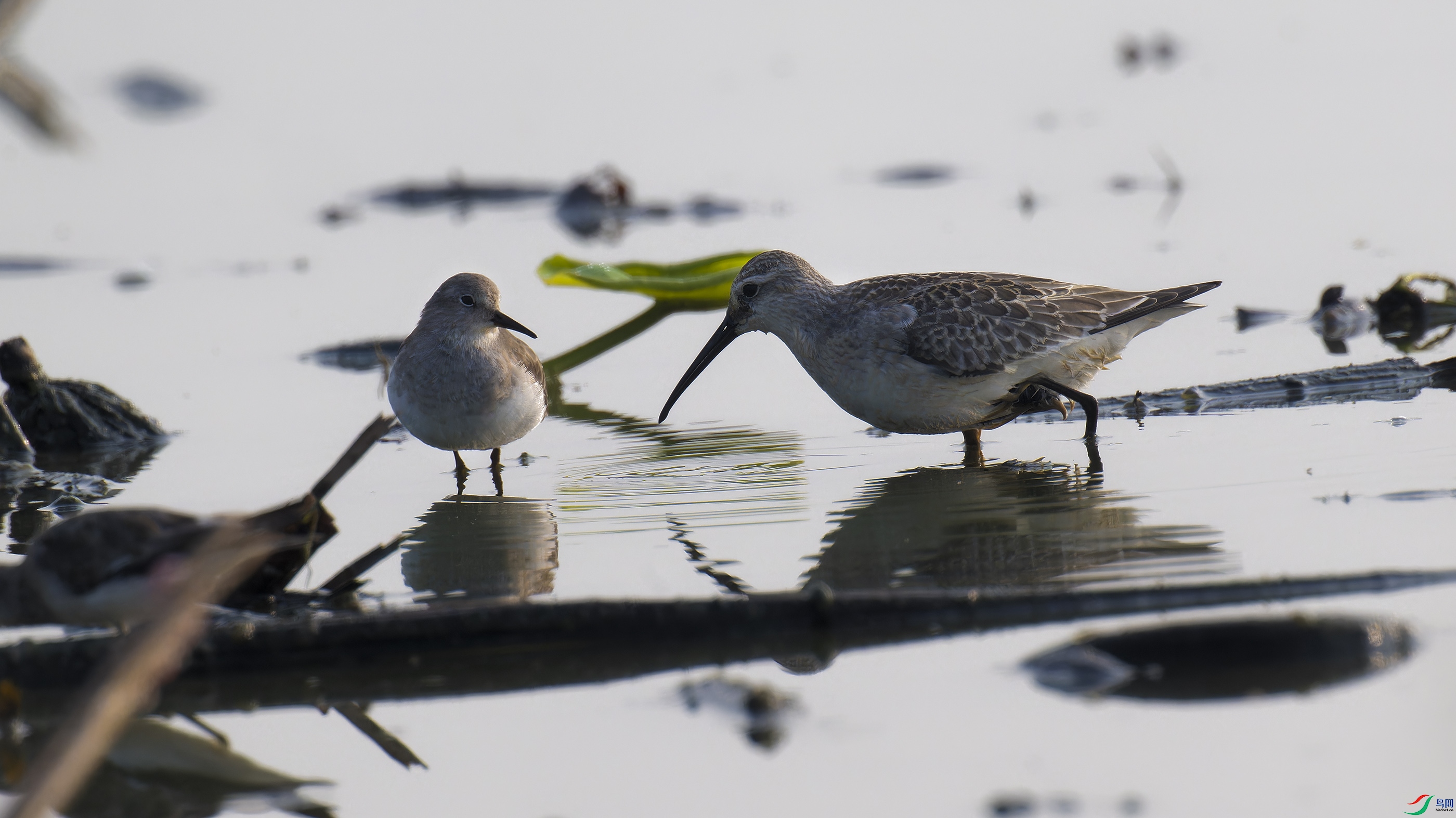 DSC_6376_DxO.jpg